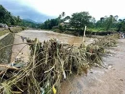 Flooded road with fallen trees and debris
