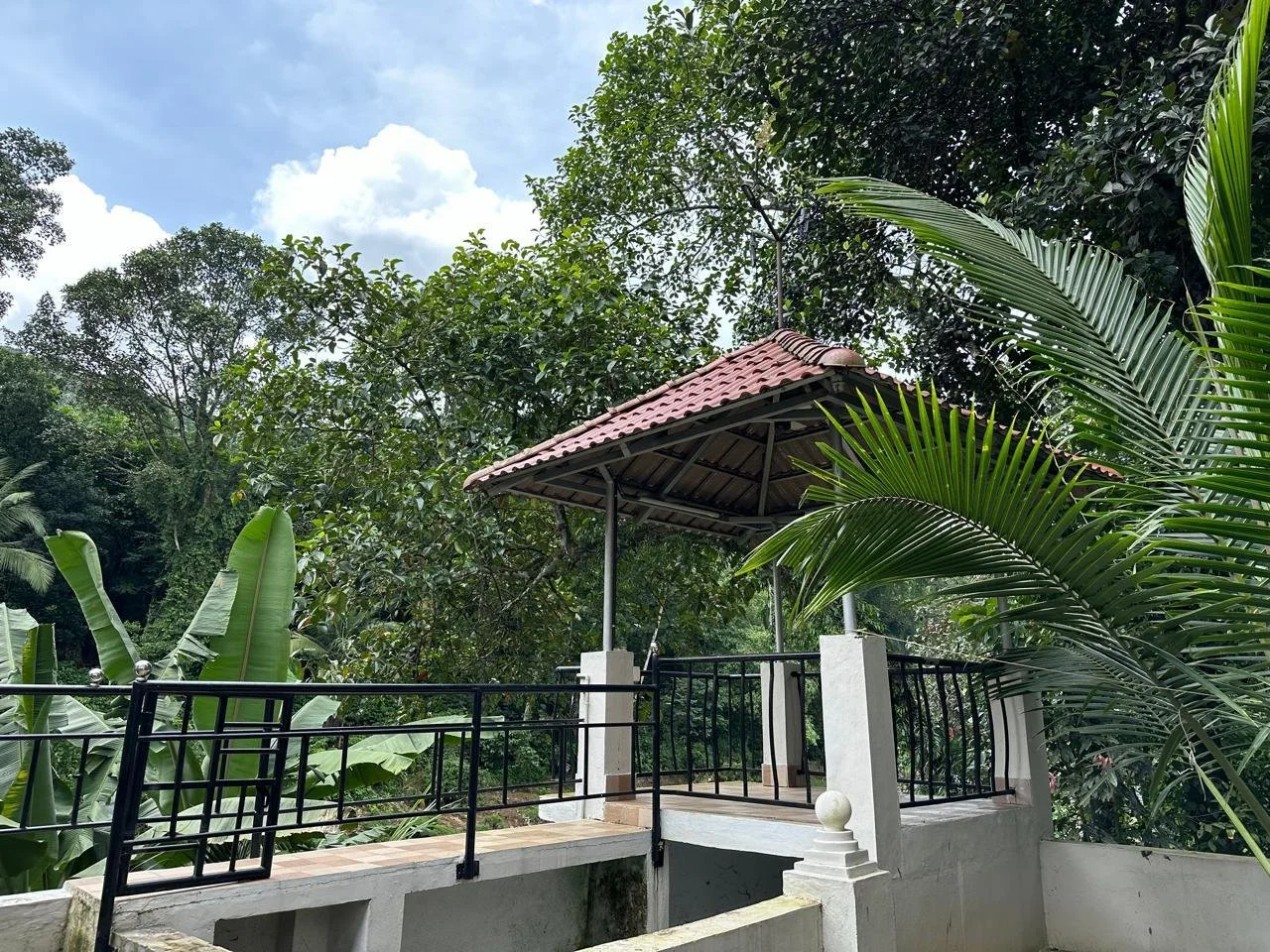 A small terrace with a red-tiled roof and black metal railing, surrounded by lush green trees and plants on a bright, partly cloudy day.