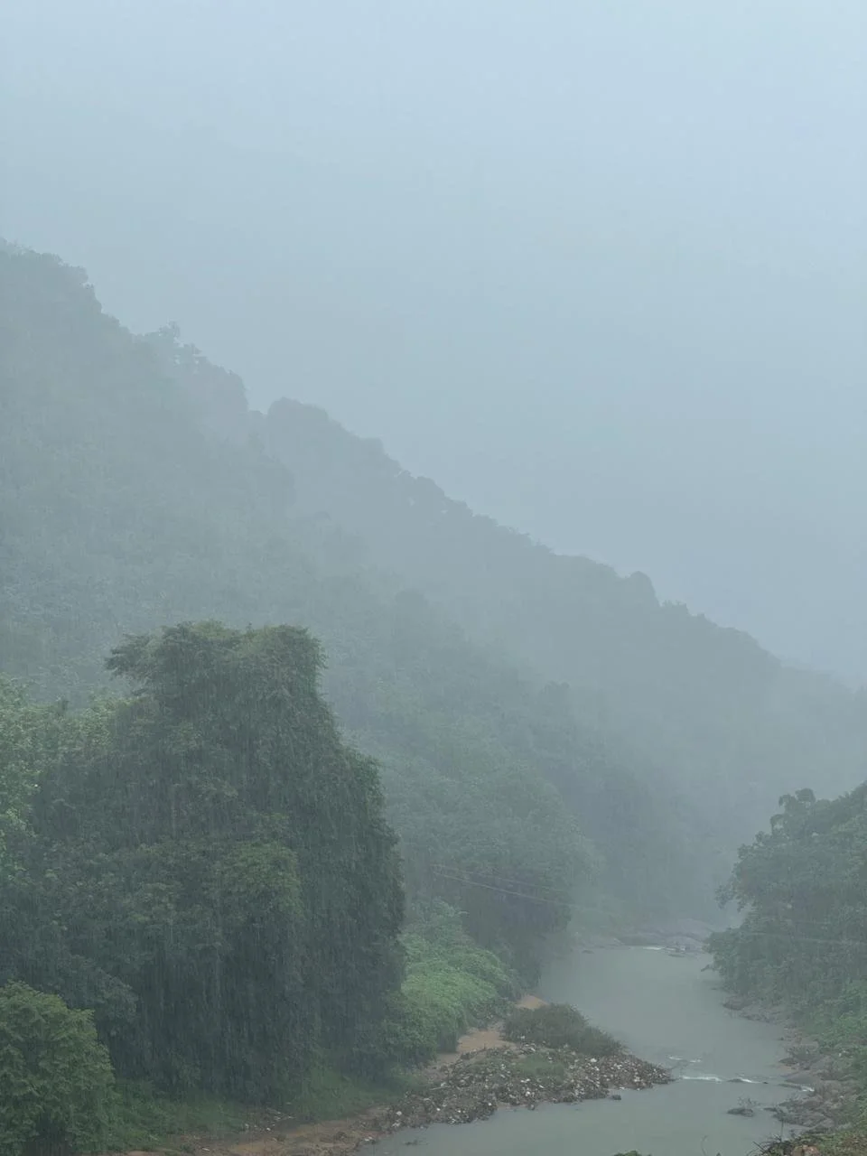 A foggy landscape with dense green trees, a river, and mist-covered mountains in the background.