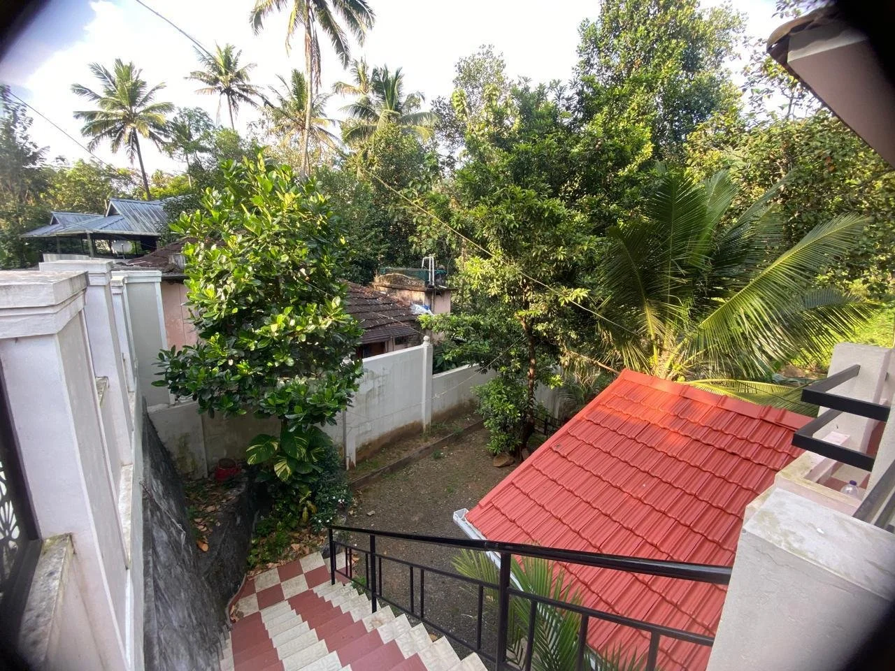 View from a staircase showing a red-tiled roof, lush green trees including palm trees, a white wall, and a partly visible building in a tropical setting during daytime.