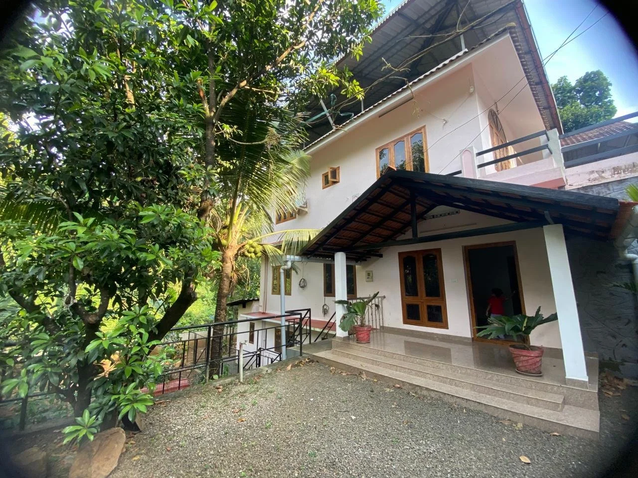 A two-story house with a white exterior and wooden window frames, surrounded by lush green trees and plants, has a front porch with steps and potted plants, and is located in a tropical setting.