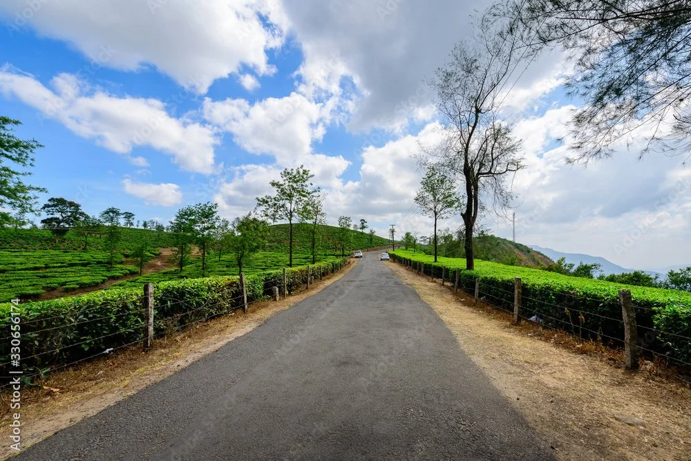 A paved road in a rural landscape, flanked by green hedge plants and trees, with hills and a partly cloudy sky in the background.
