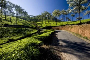 A winding road through a lush, green hilly landscape with trees and blue sky.