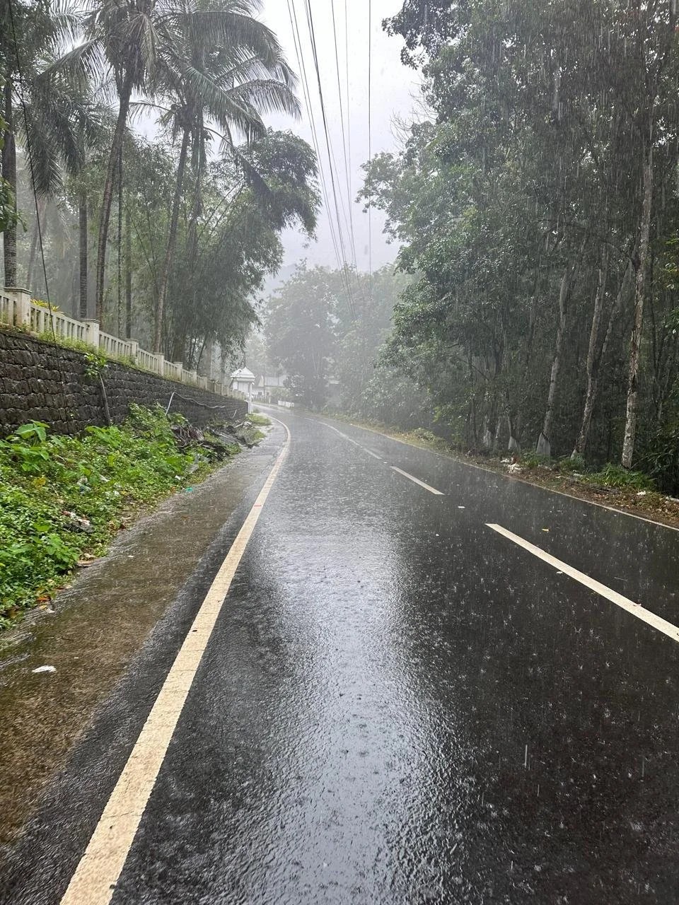 A wet, winding road in a forested area during rainfall with trees on both sides and power lines overhead.