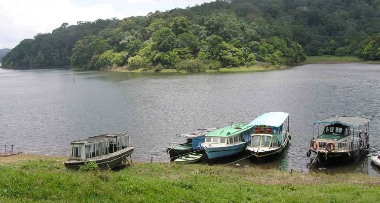 Four boats docked along a grassy shoreline with a calm river or lake and a green, tree-covered hill in the background.