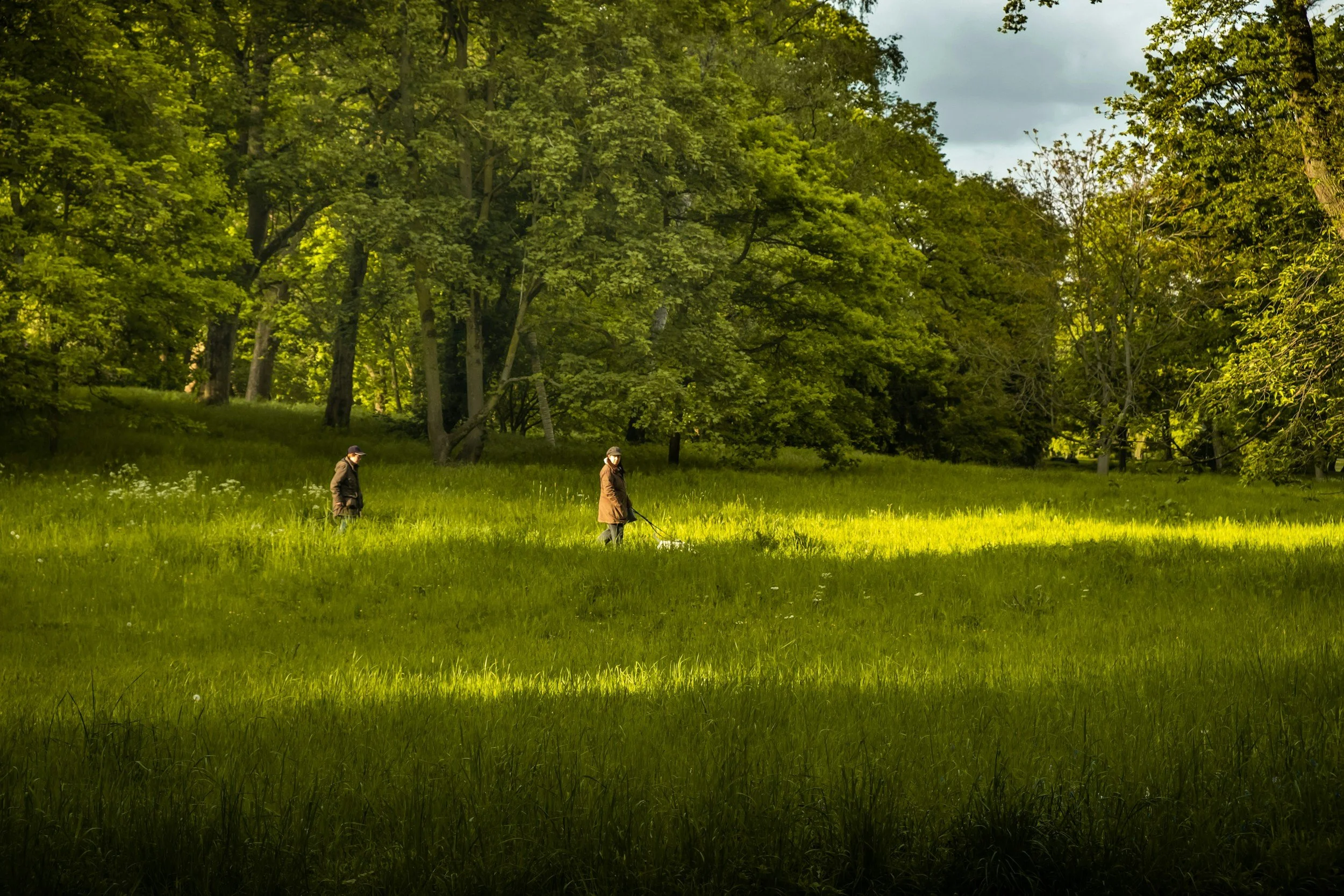 Two people in rain jackets and hats in a lush green field with tall trees and a mix of shadows and sunlight.