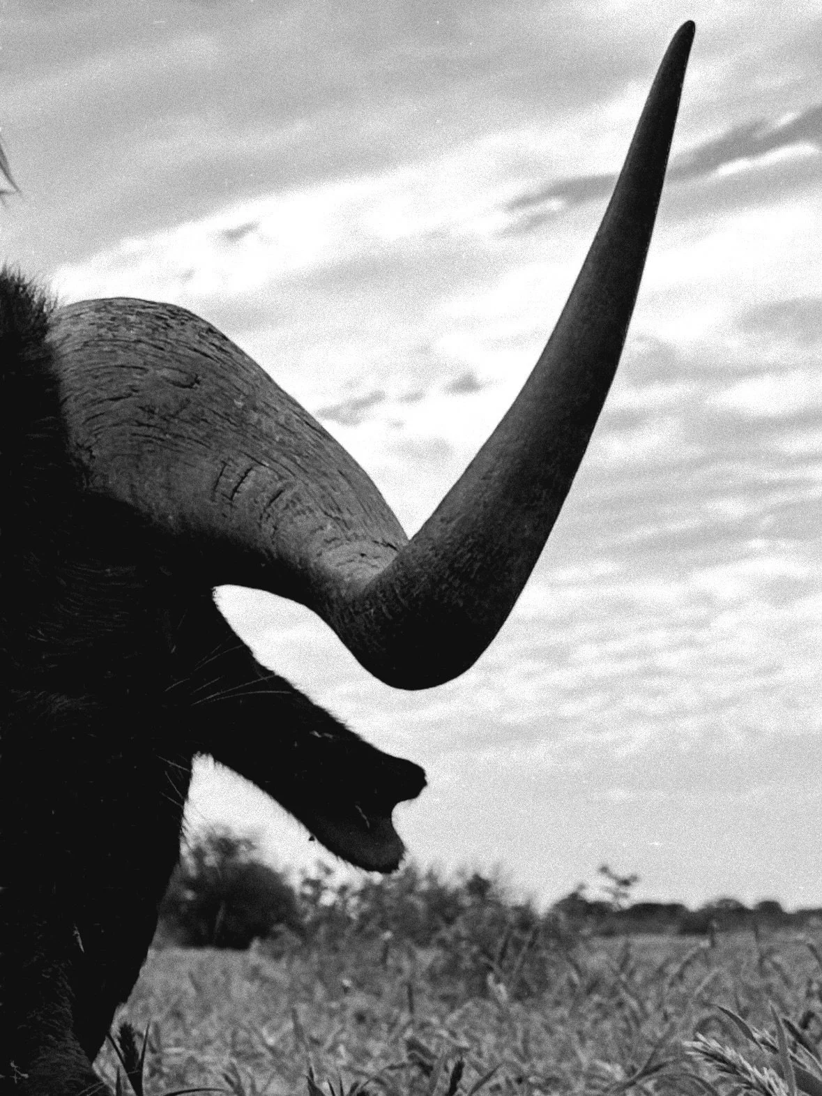 Telling their own story.