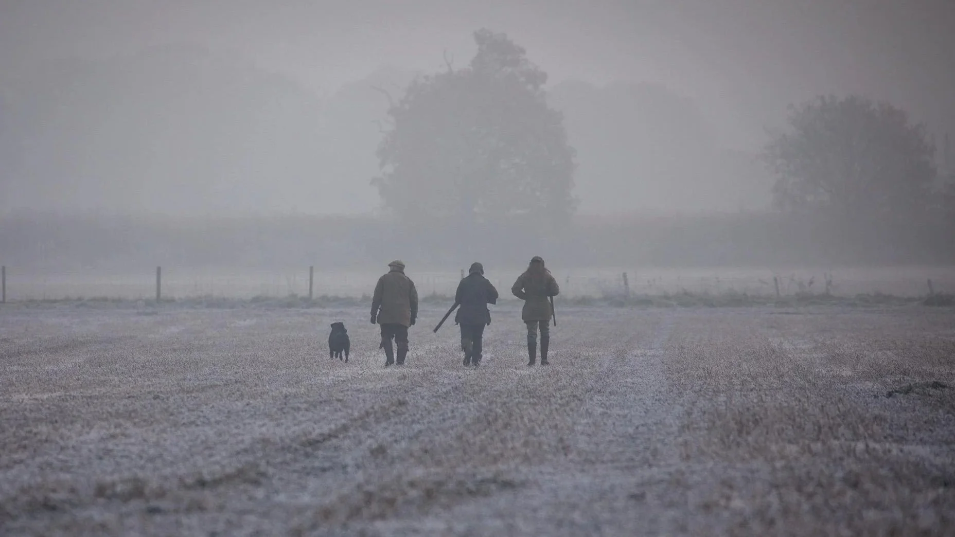 Three people and a dog walking on a foggy field with trees in the background.
