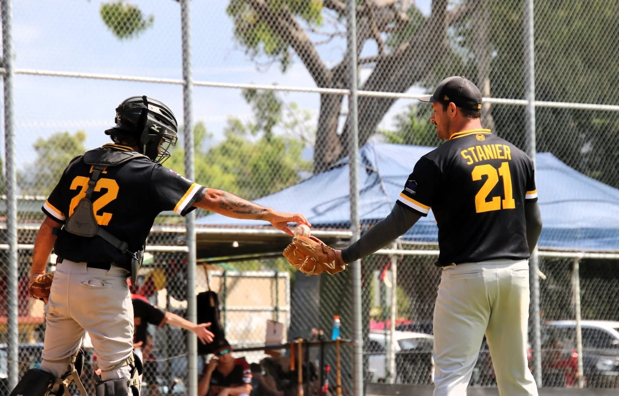 Senior Competition — Pirates Baseball Club