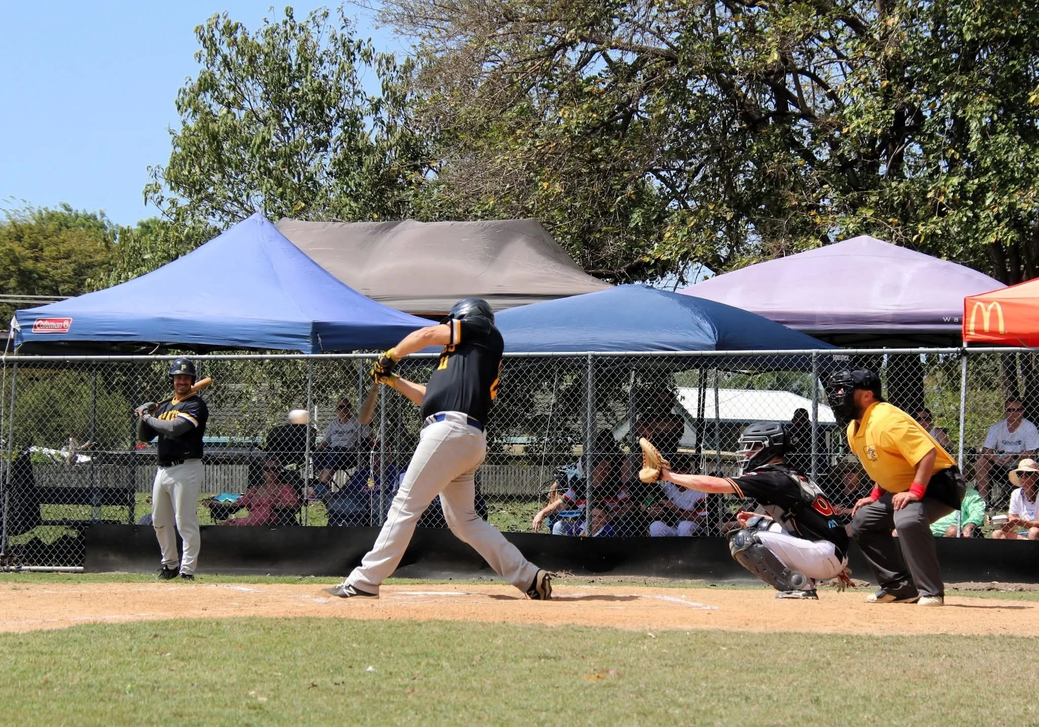 Senior Competition — Pirates Baseball Club