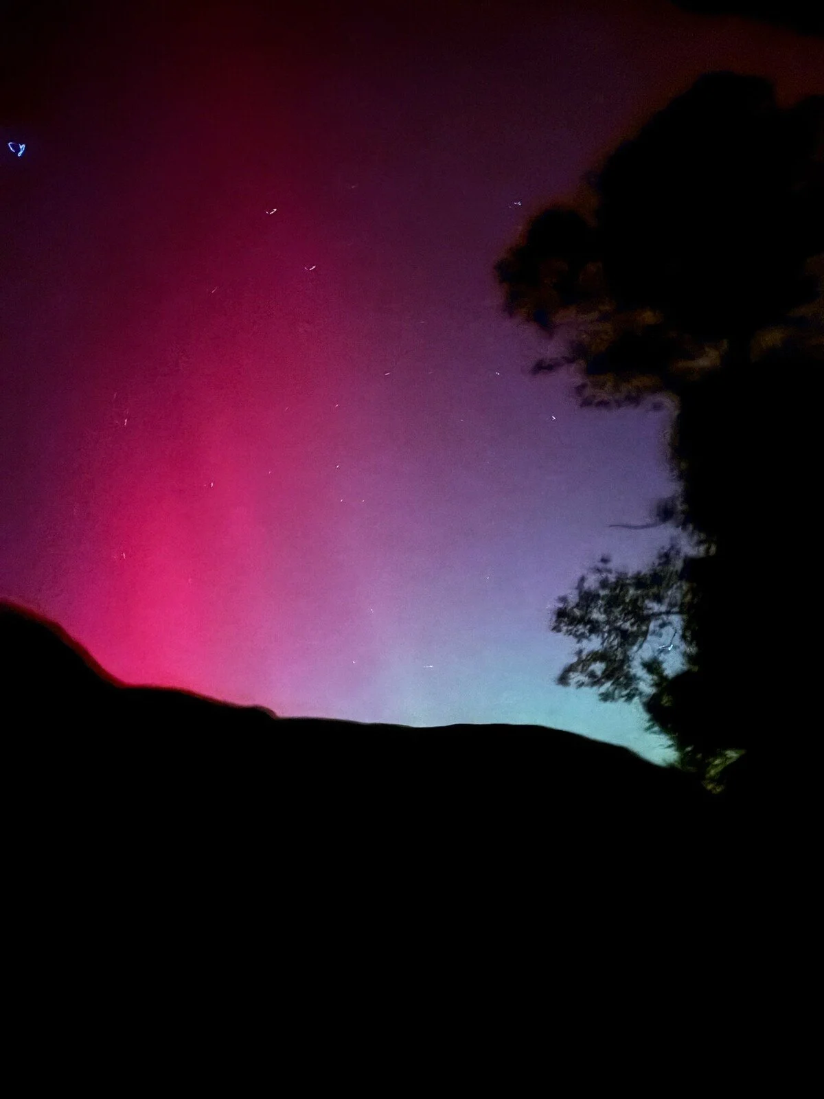 Brigh pink and blue shades of the Aurora Borealis in the night sky over Wales. Mountain ridge and tree silhouette.
