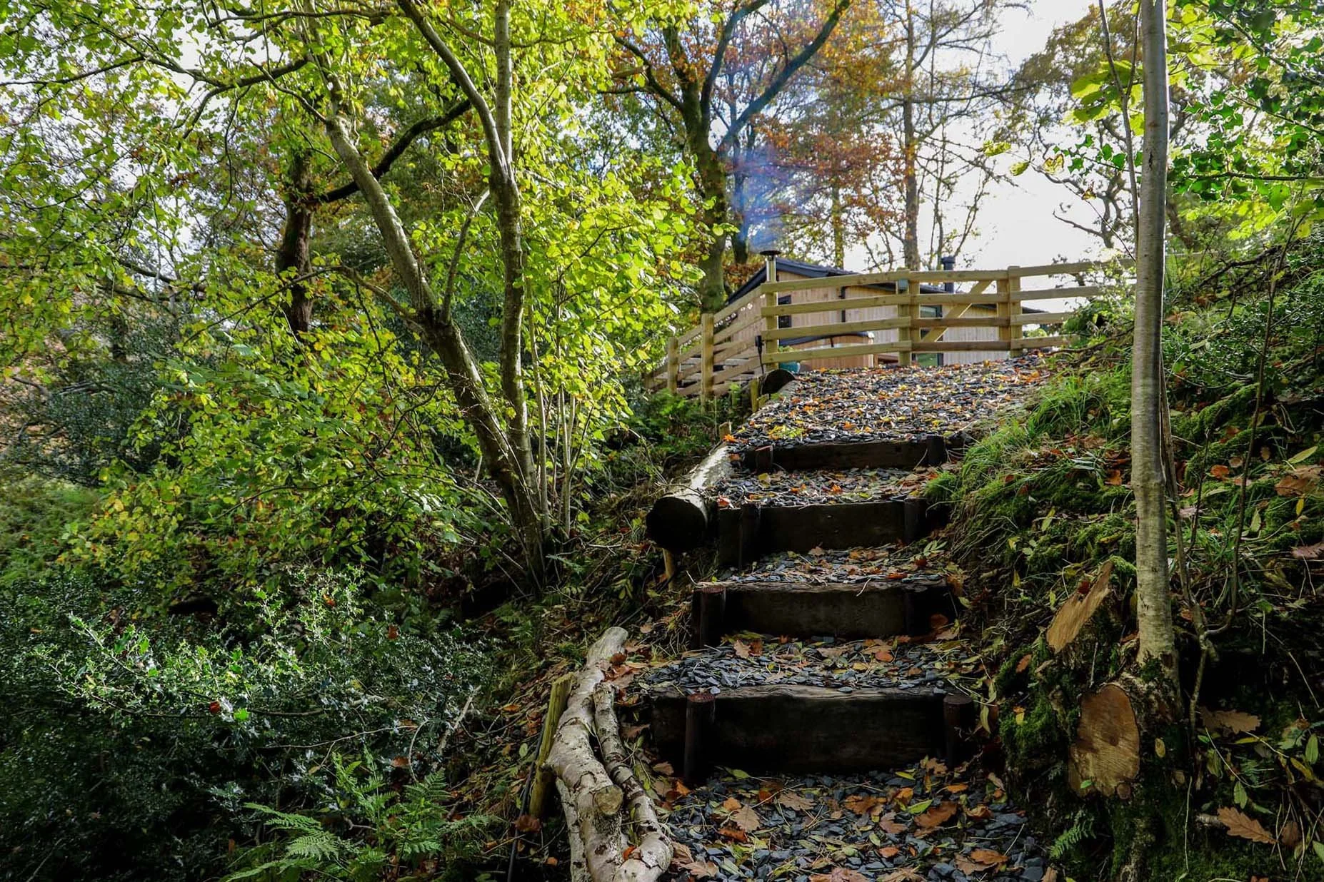 Rustic timber and gravel steps up to a secluded holiday cabin in lush green woodland, Wales