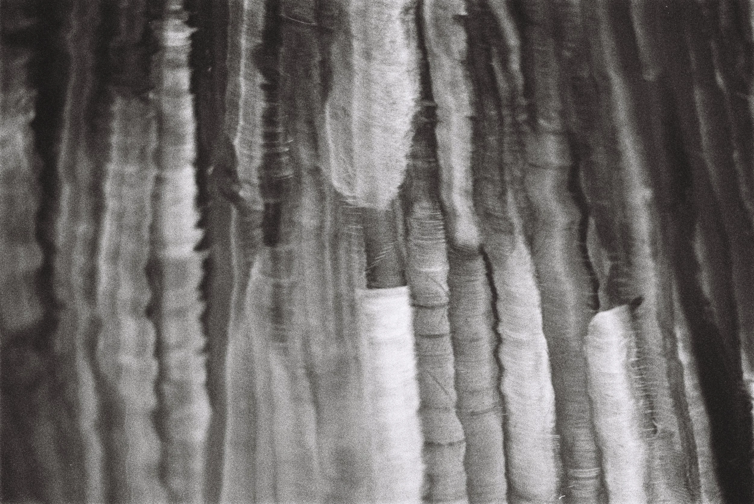 Close-up of wood grain with various dark and light streaks and lines.