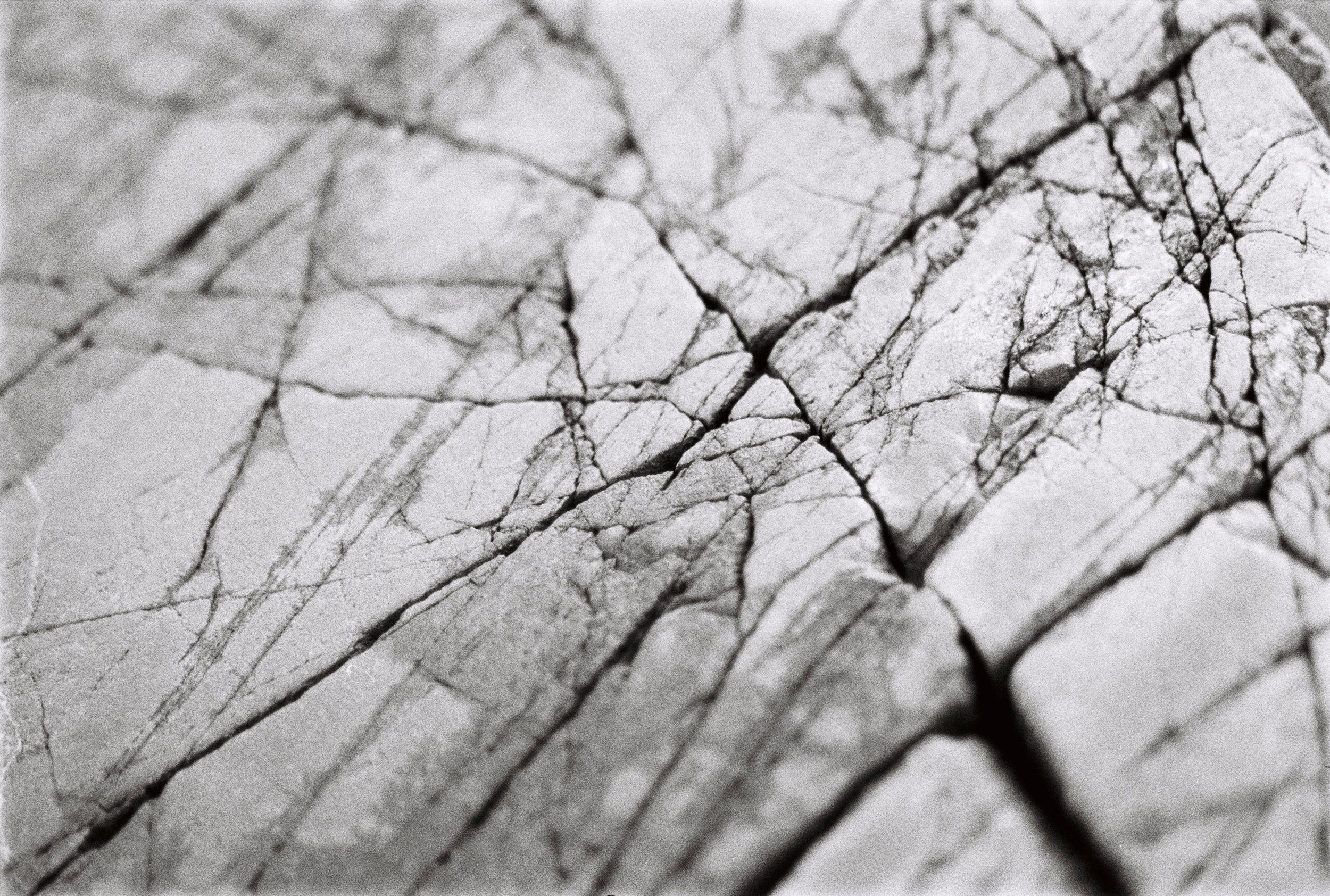 Close-up of cracked and weathered stone surface with numerous fissures and irregularities.