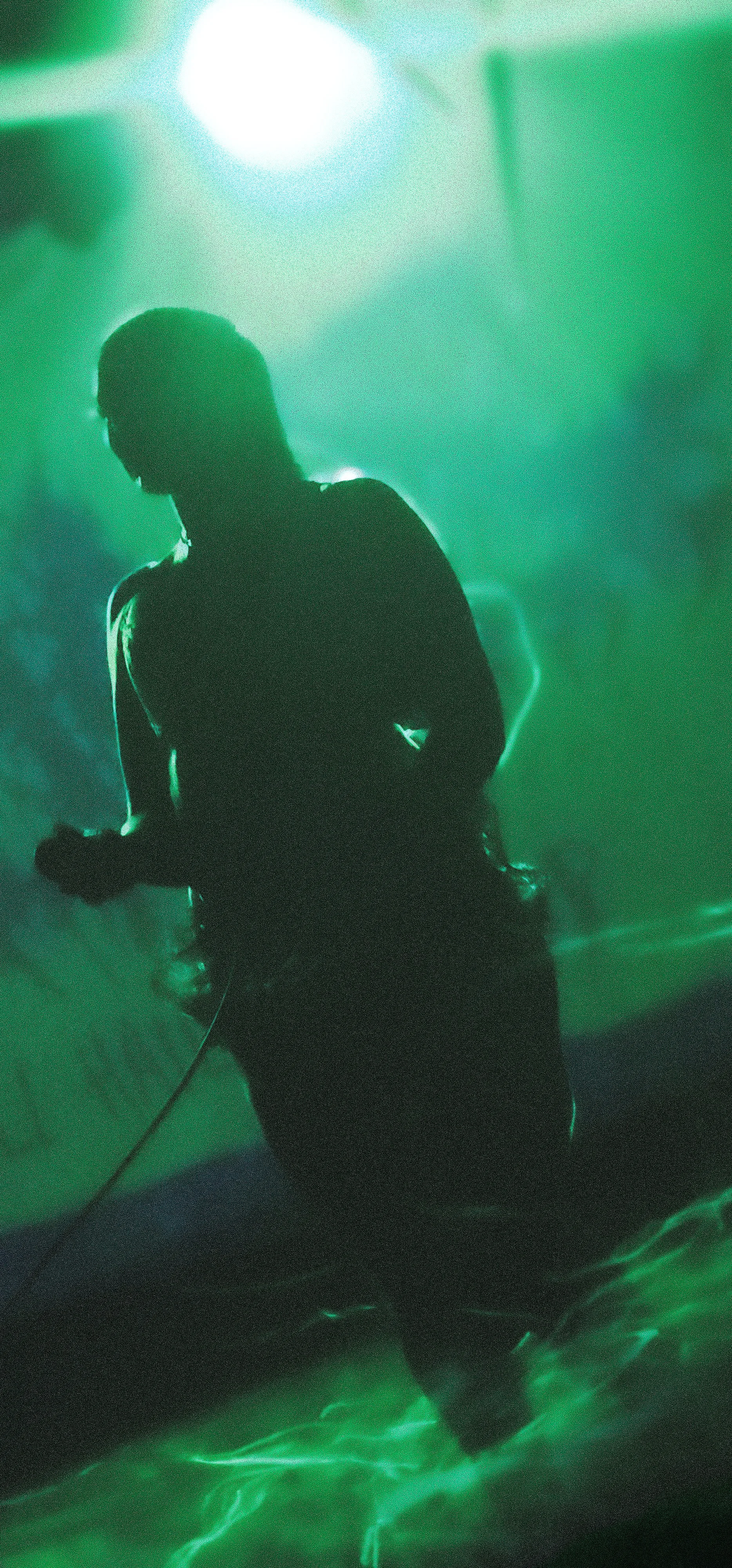 20240909_201139 copy1-1.jpg