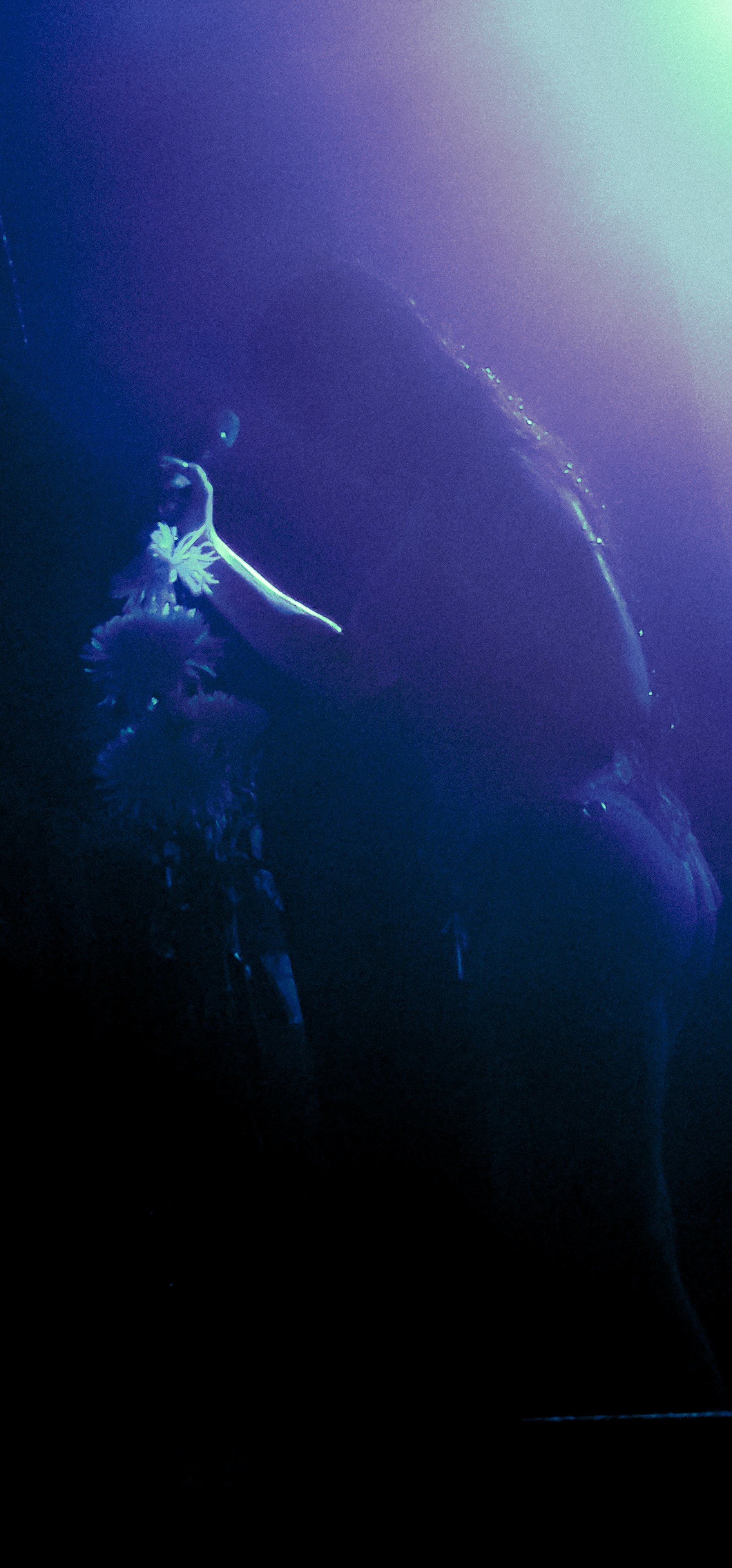 20240909_231952 copy-1.jpg