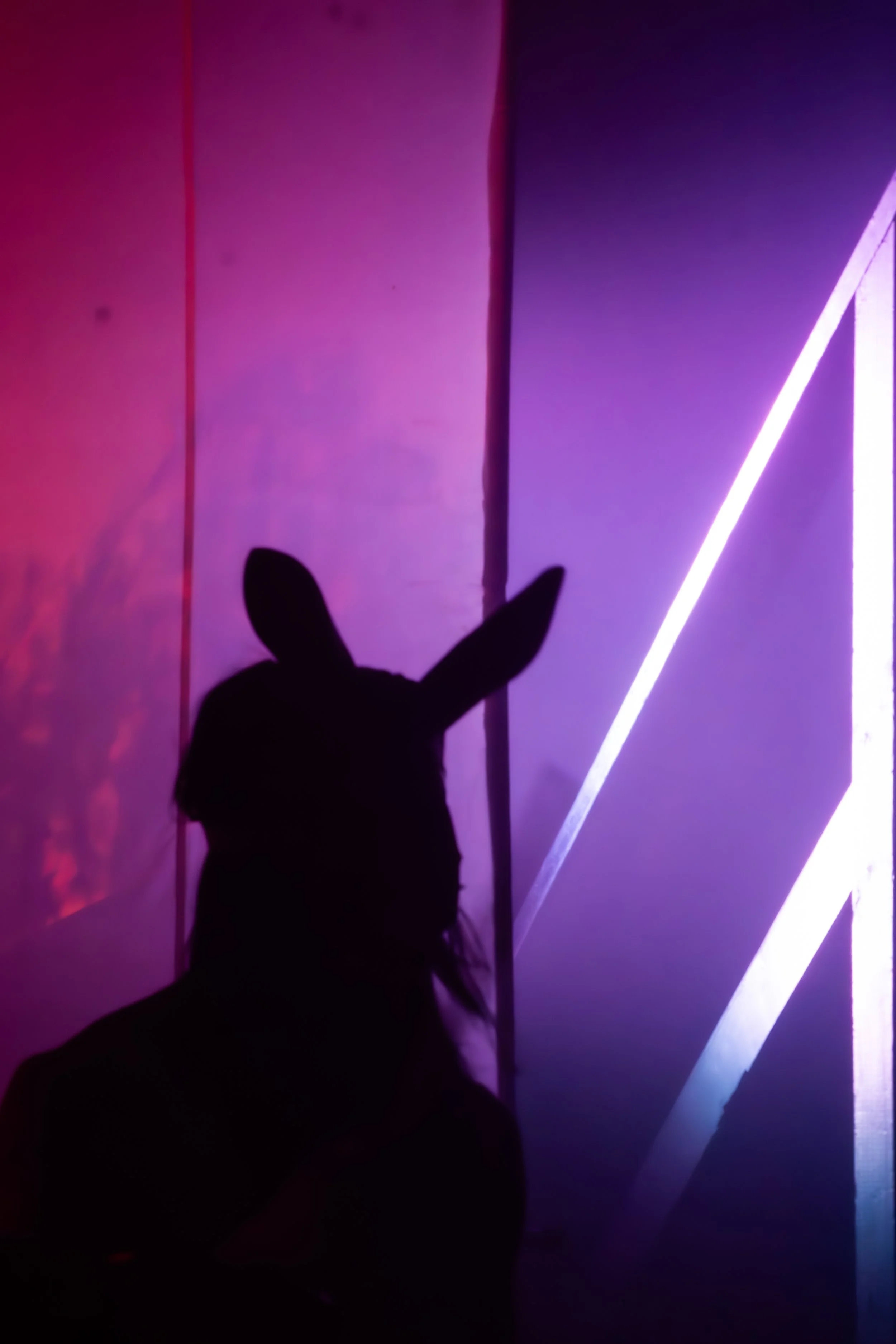 edited (9 of 43).jpg