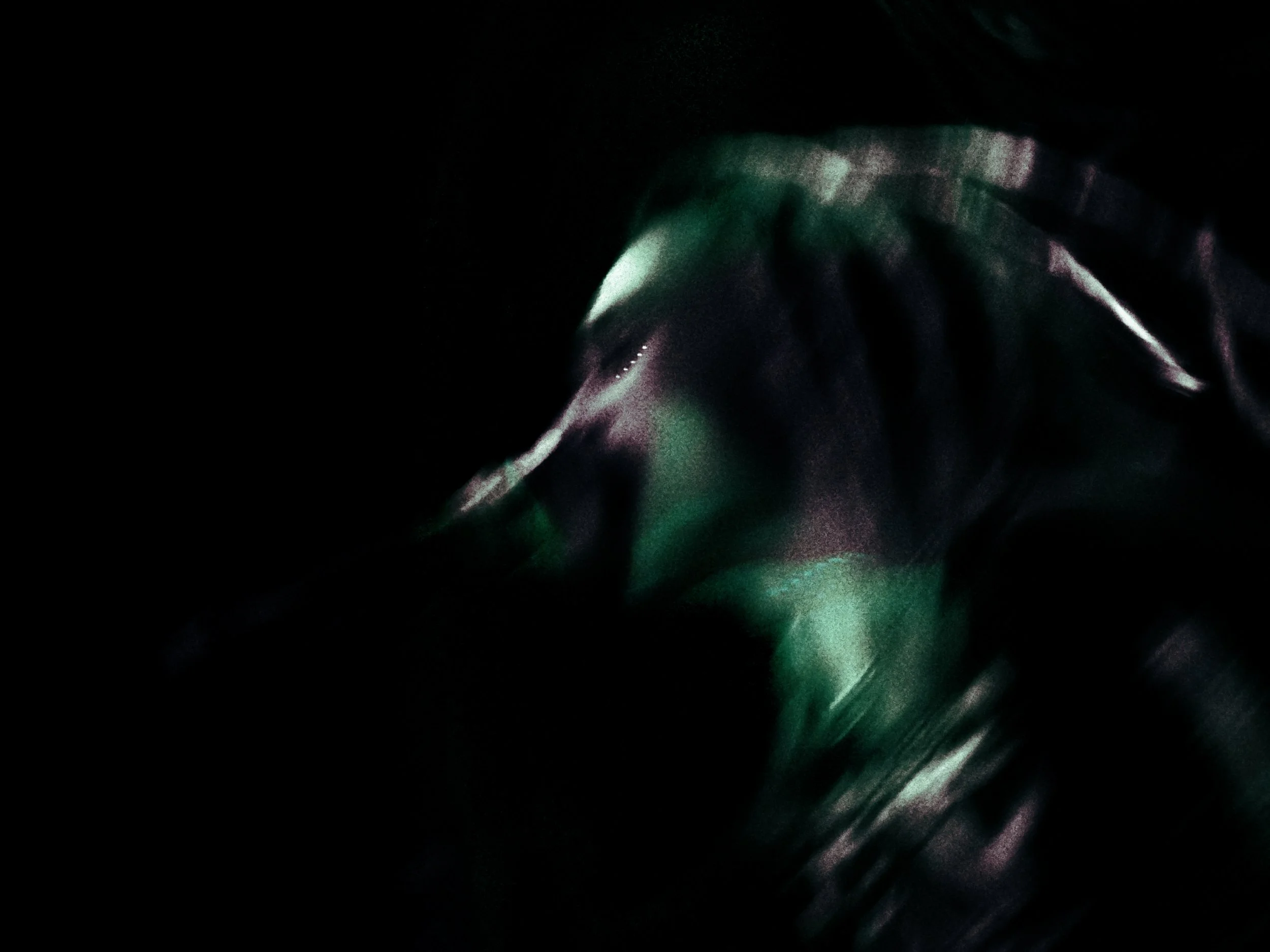 20241017_202159-1-4 copy.jpg