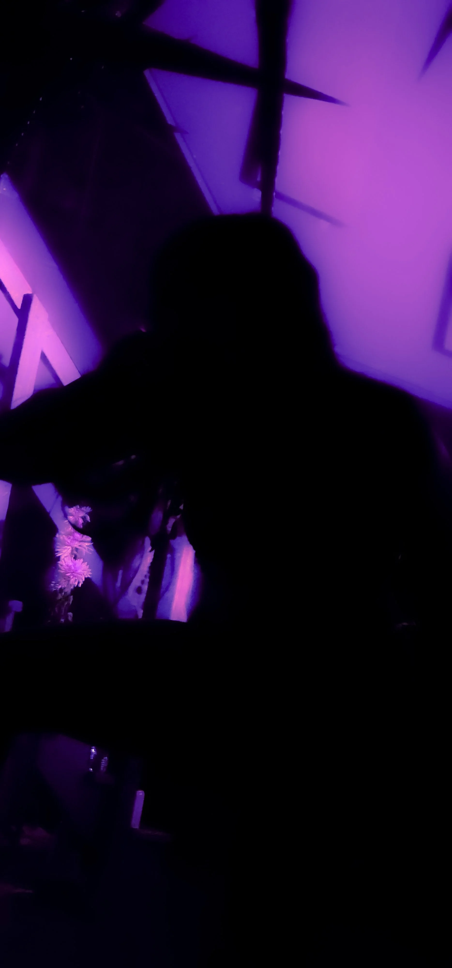 20240909_225924 copy 2-1-8-1.jpg