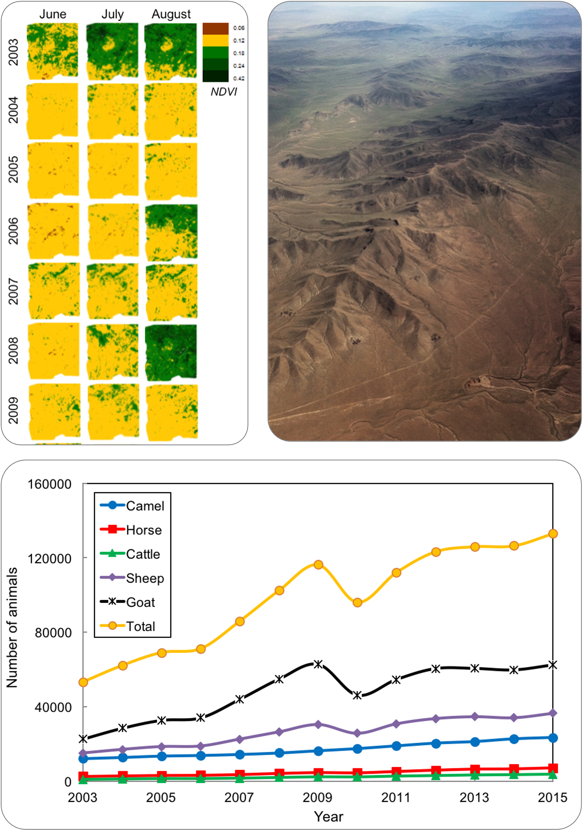 Aerial view of a desert landscape with mountain ridges and dry terrain. To the left, a detailed climate change graph showing NDVI variations over years and months, and a line chart tracking animal populations such as camel, horse, cattle, sheep, and goat from 2003 to 2015.