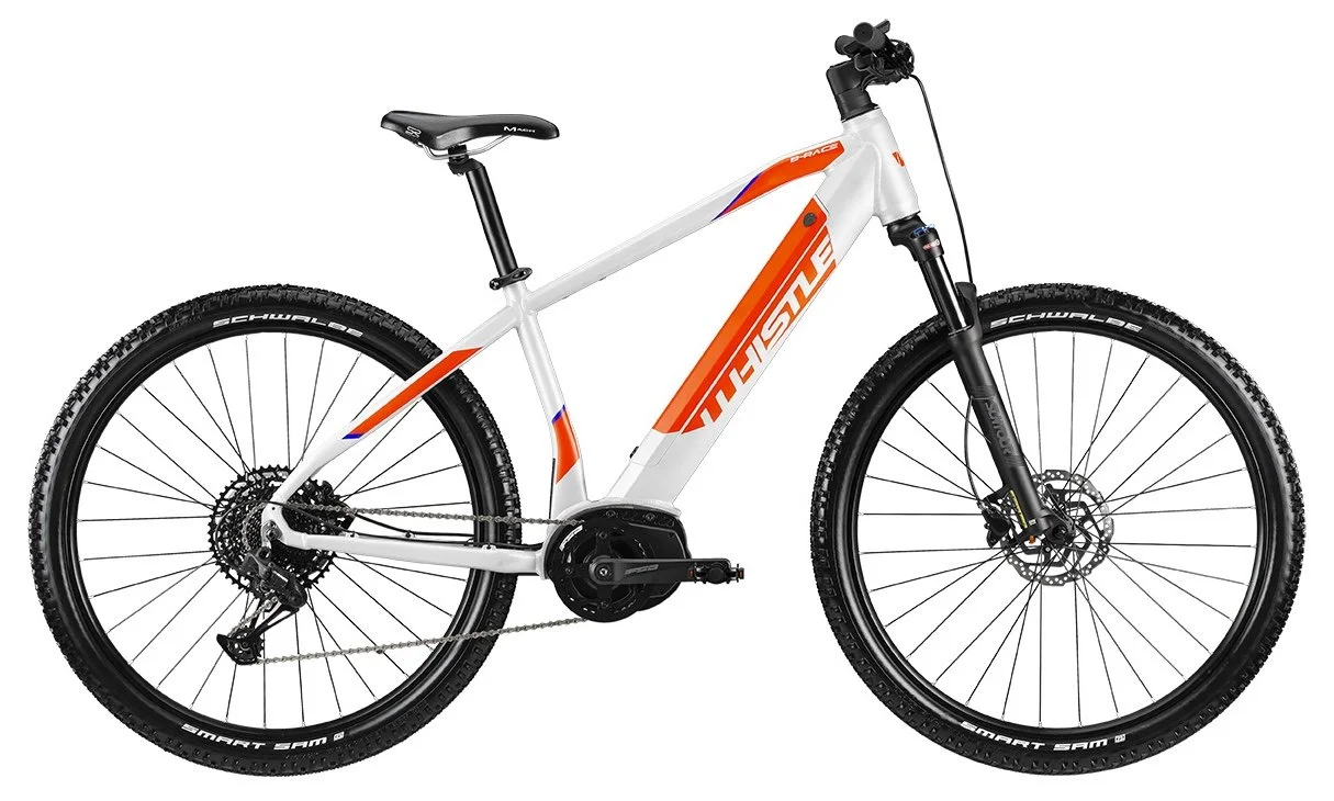 Vendita mtb elettriche Parma