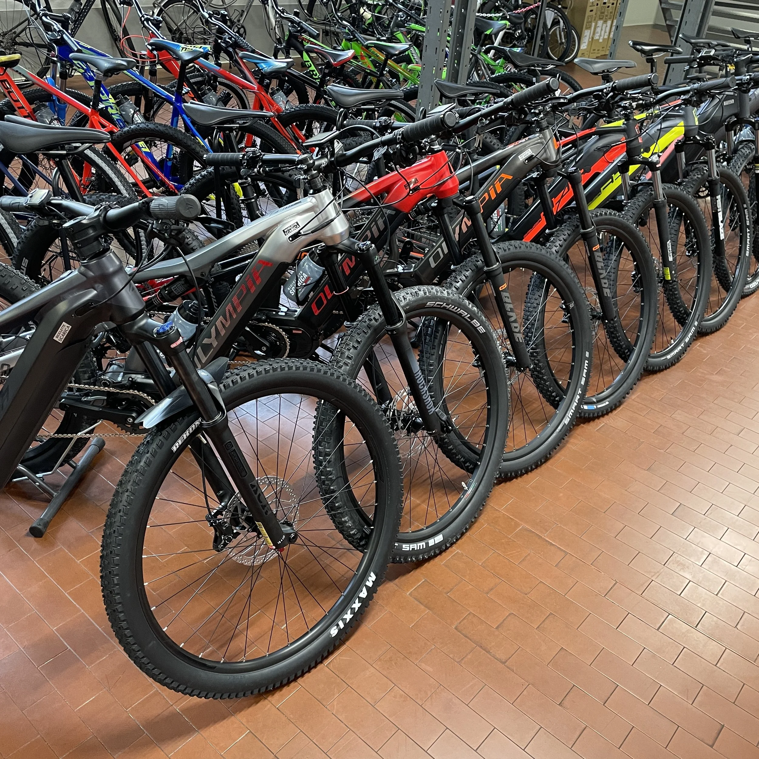 Mountain bike elettriche in vendita a Parma da Biciclette Scarica