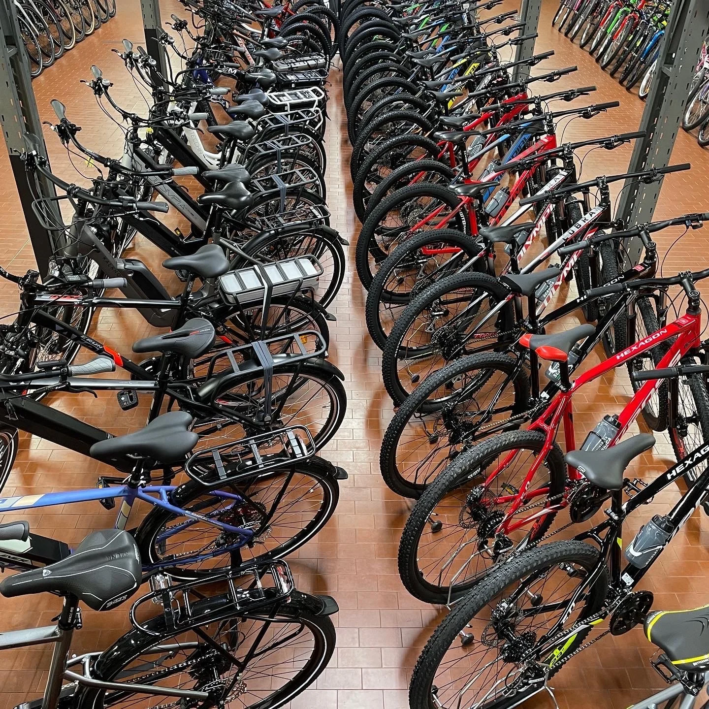 Vasta selezione di bici in un negozio a Parma