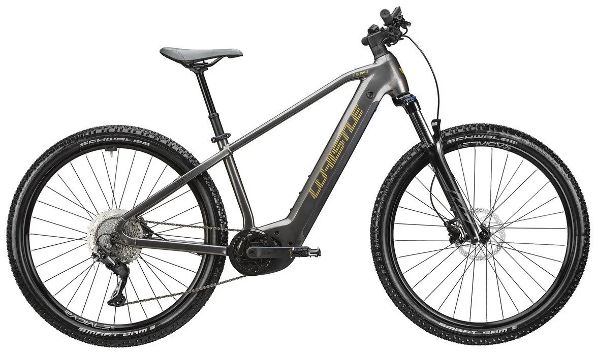 Bicicletta elettrica da montagna con telaio grigio, pneumatici Schwalbe, sospensioni anteriori e posteriore.