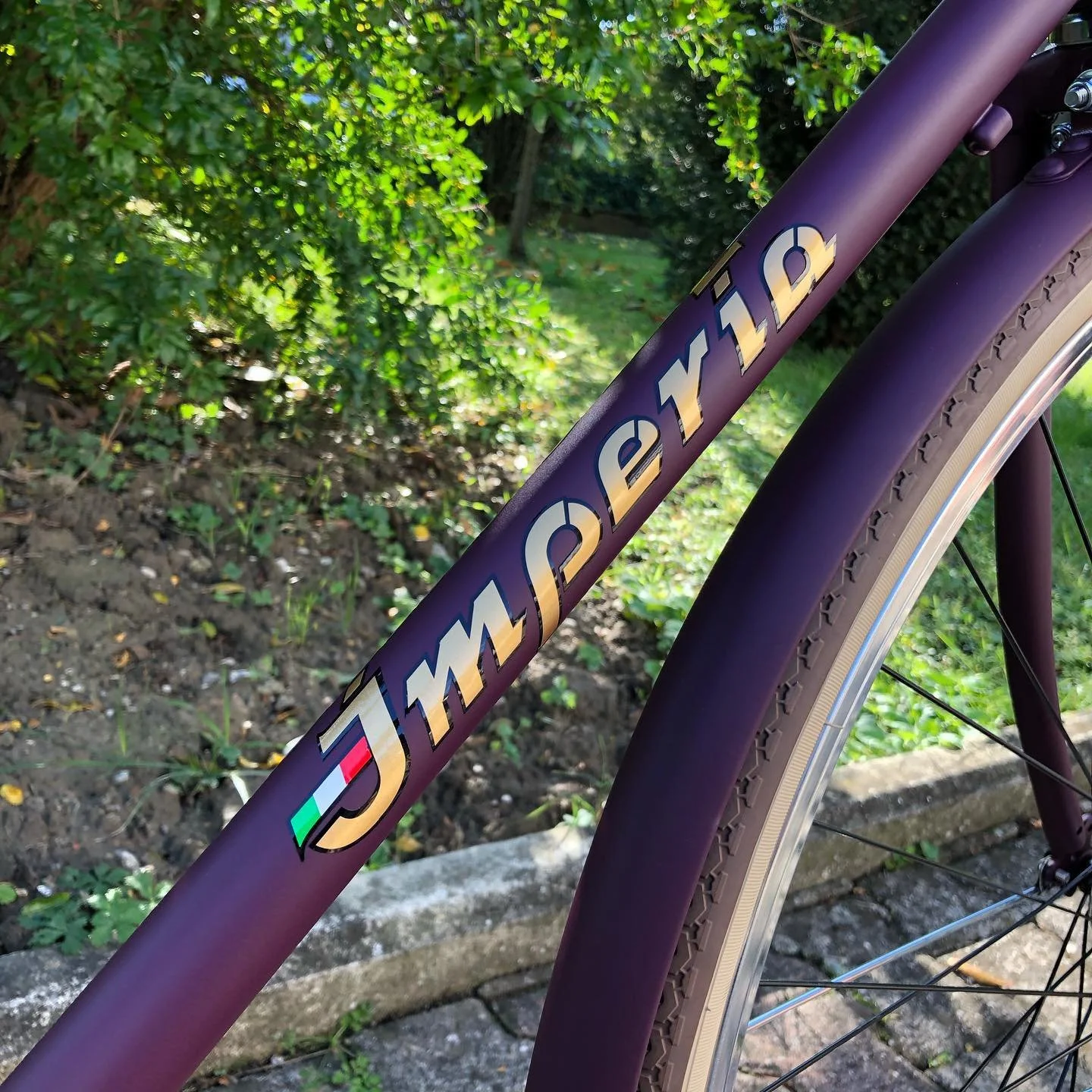 Bicicletta viola con il marchio 'JUMPYRID' scritto sul telaio, con pneumatici chiari, in un ambiente esterno con vegetazione verde e un marciapiede in pietra.