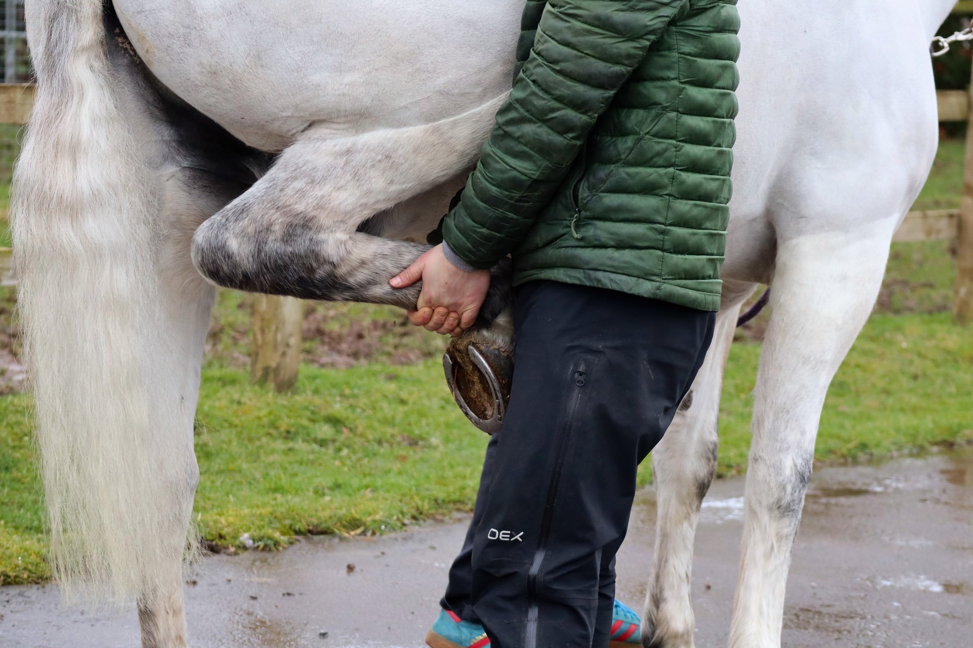 Slide - replace second photo taking x-rays.jpg