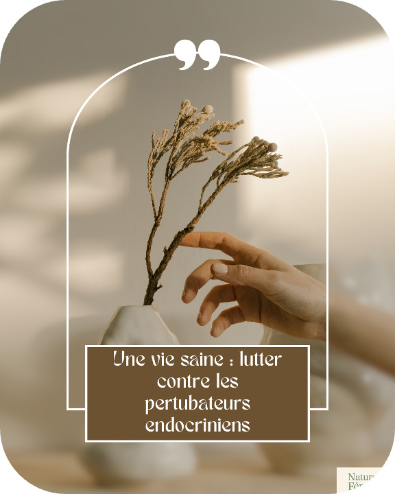 E book perturbateur.png