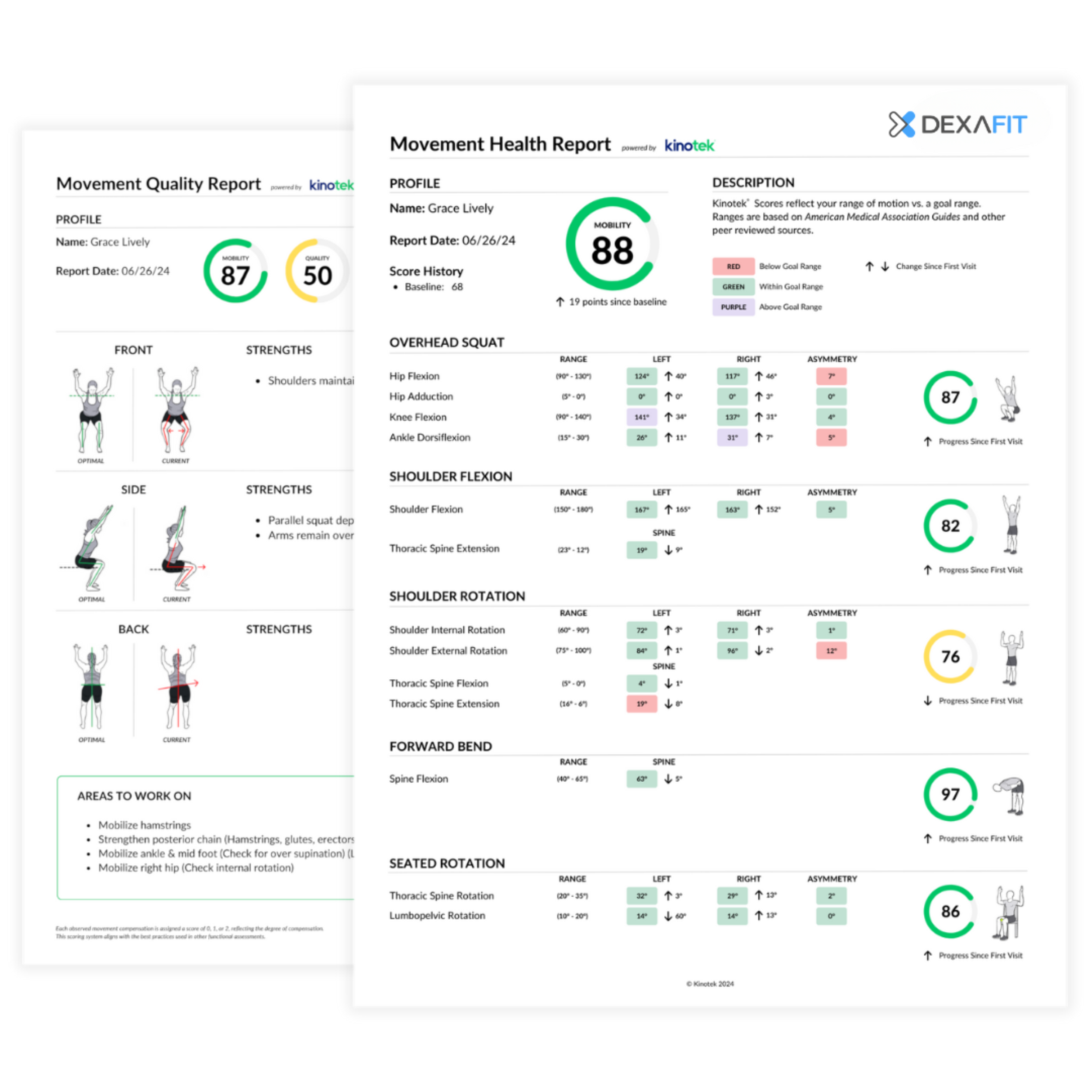 Movement Health Report - Kinotex x DexaFit