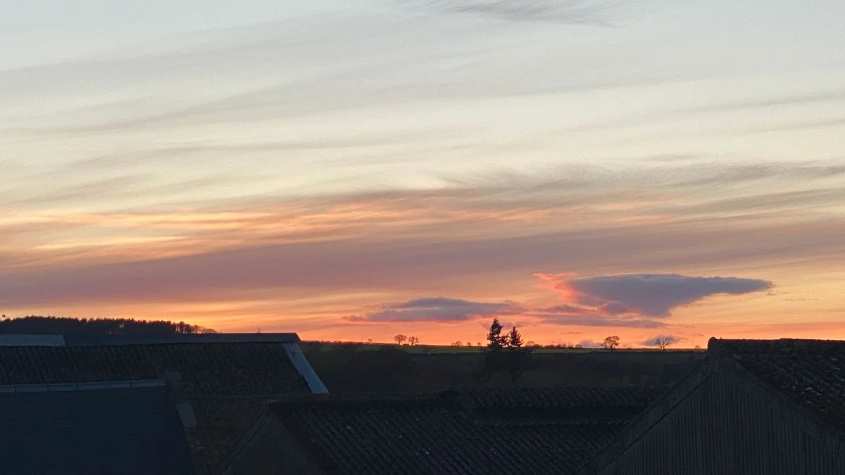 A sunset over a rural landscape with rooftops in the foreground and trees on the horizon under a sky with layered clouds.