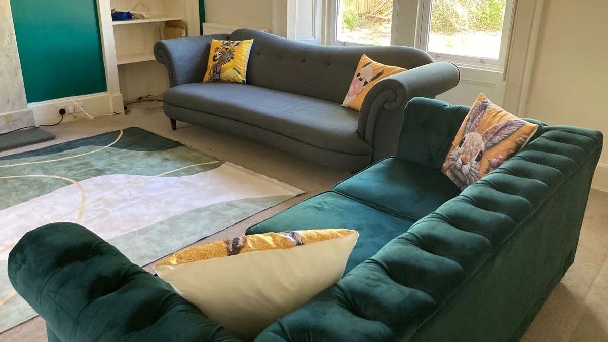 Two velvet sofas, one dark green and one grey, with colorful animal-print pillows, in a living room with large windows and greenery outside, and a patterned area rug on the floor.