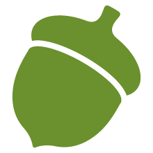 green acorn icon