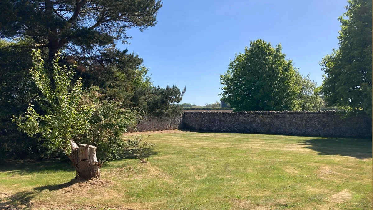 A grassy yard with a stone wall in the background, trees on either side, and a clear blue sky.
