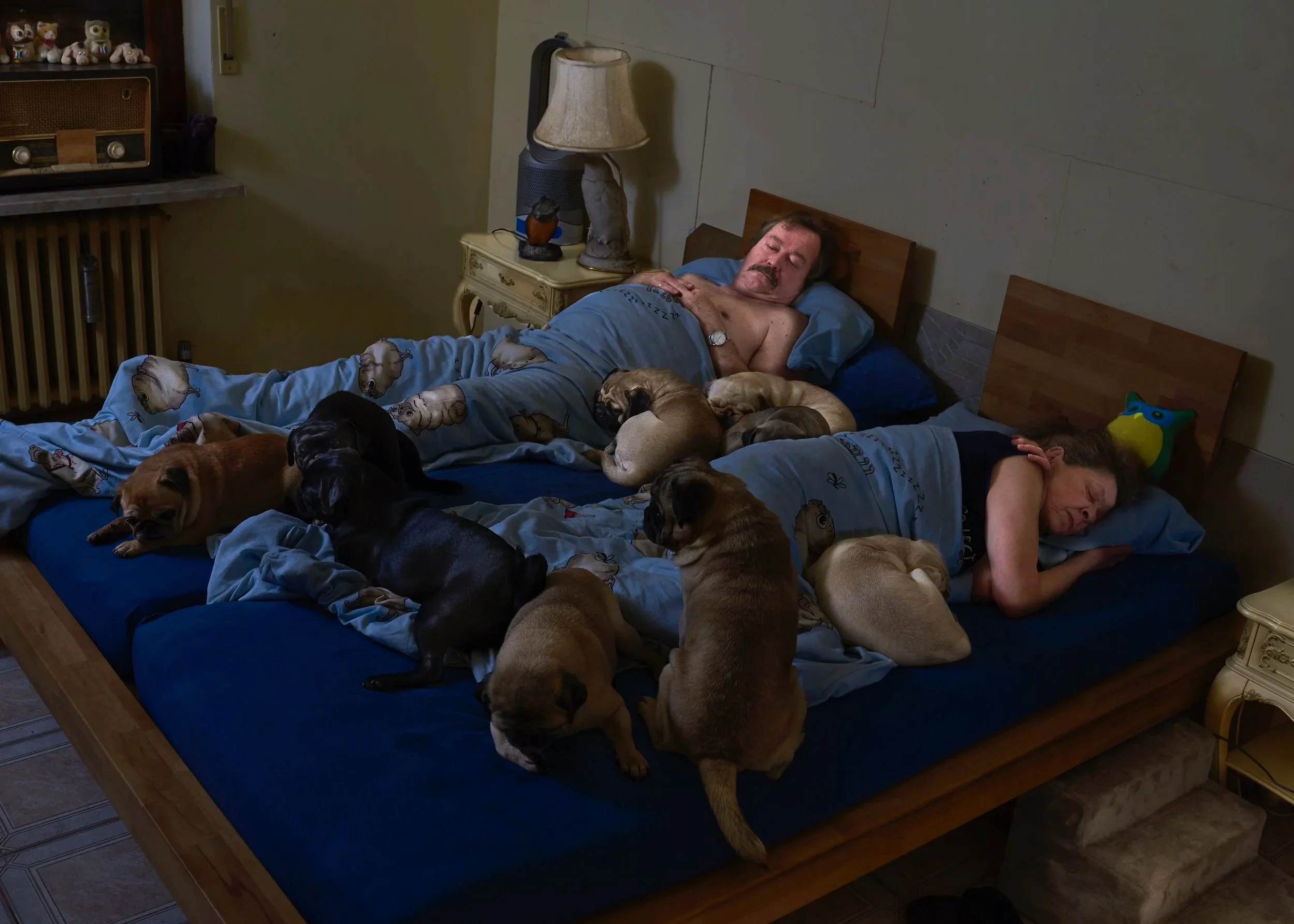 Mospseelen und Seelenmöpse