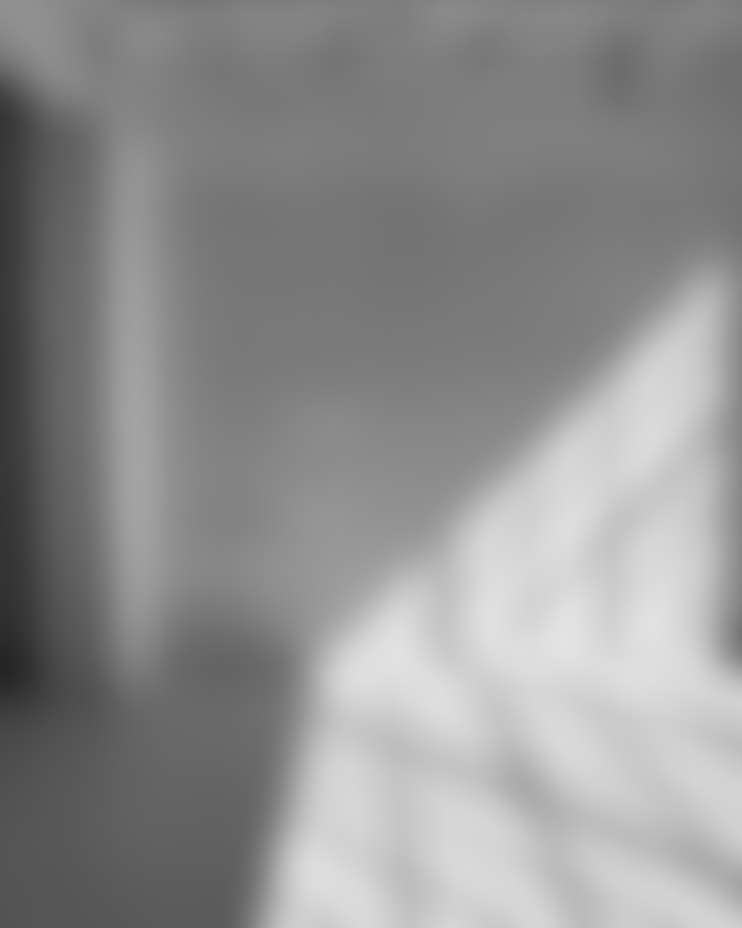 Blurred black-and-white photograph. Details are indistinct.