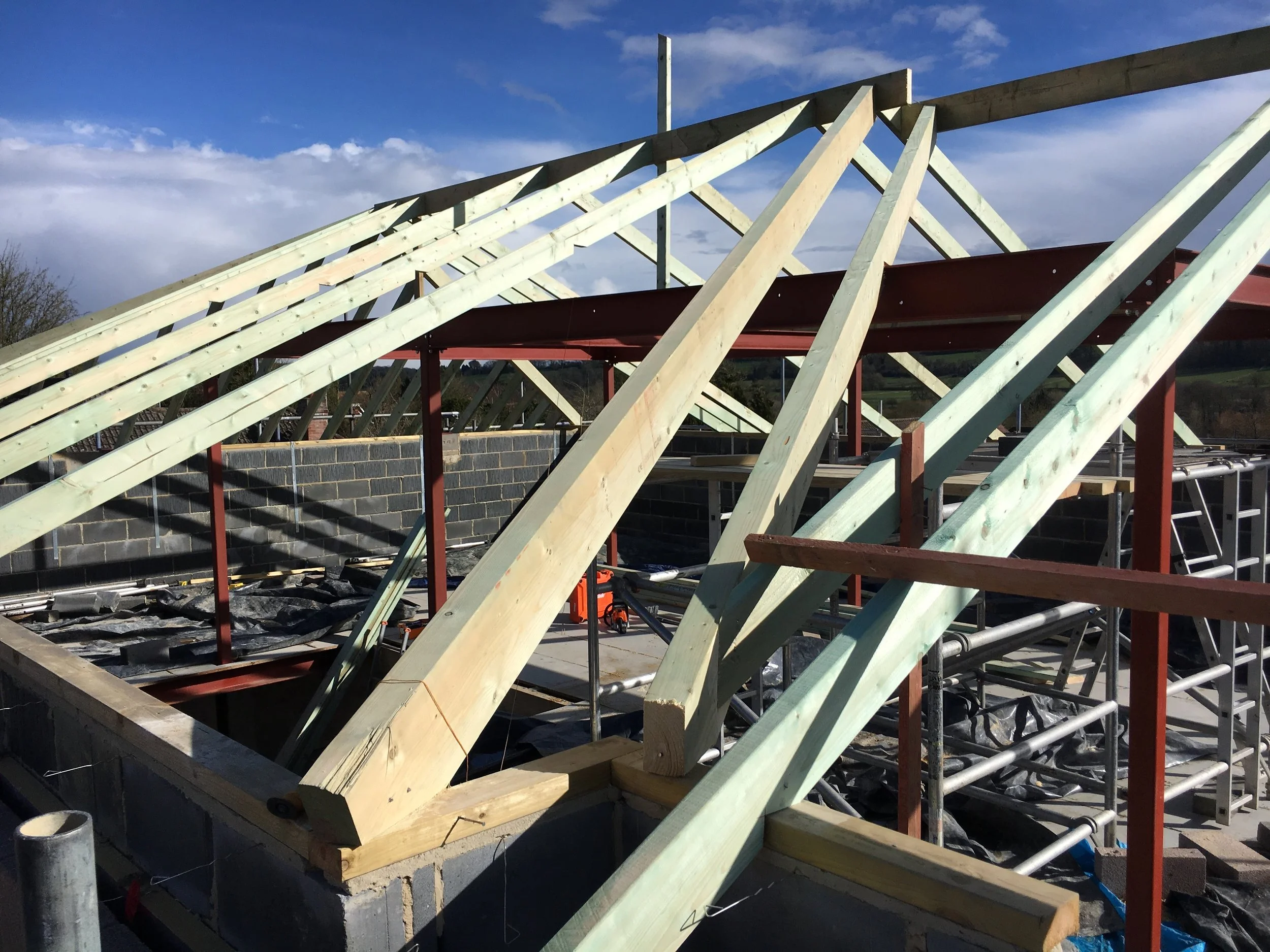 steel-roof-timber-from-scaffold.JPG