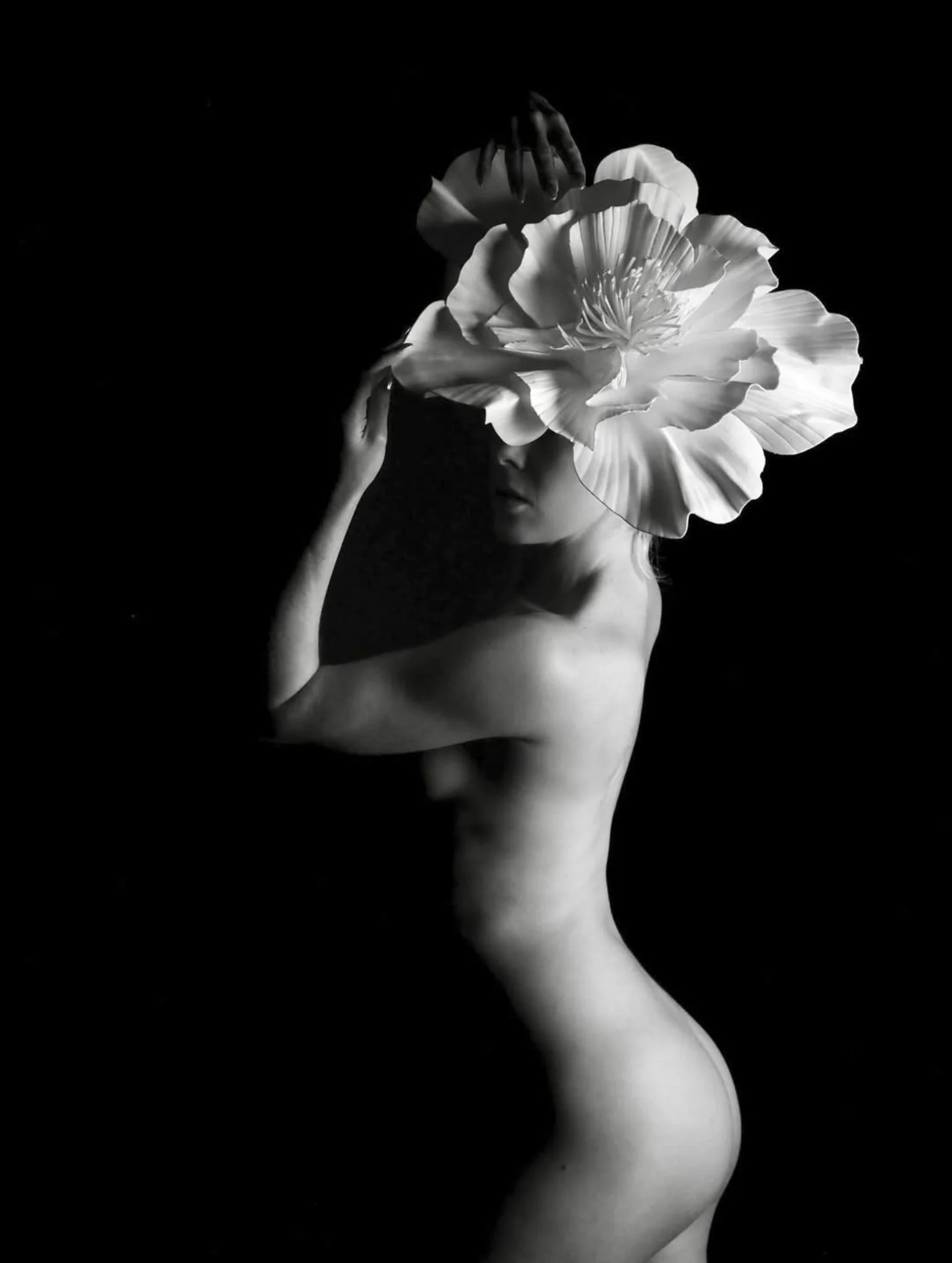 Screenshot 2026-01-06 at 4.41.52 pm.jpg