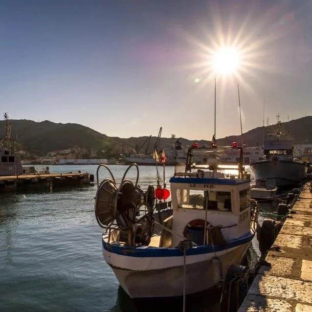 Lifestyle Sud de France : vivre au rythme méditerranéen