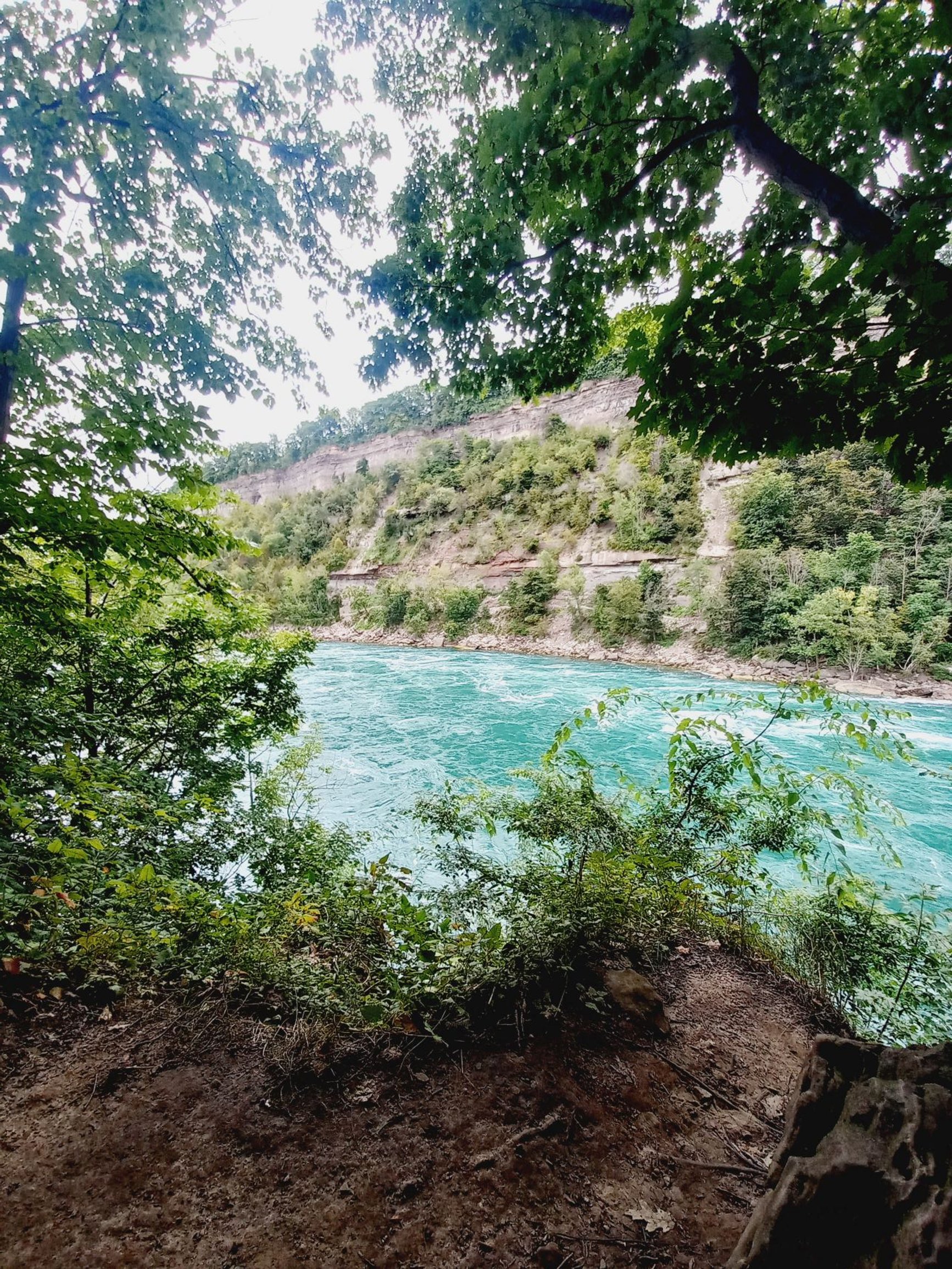 Vue d'une rivière turquoise entourée d'arbres et de collines rocheuses, vue partielle depuis une ouverture forestière.