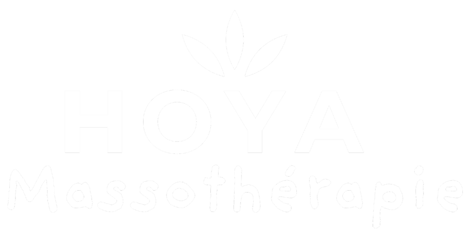 HOYA MASSOTHERAPIE