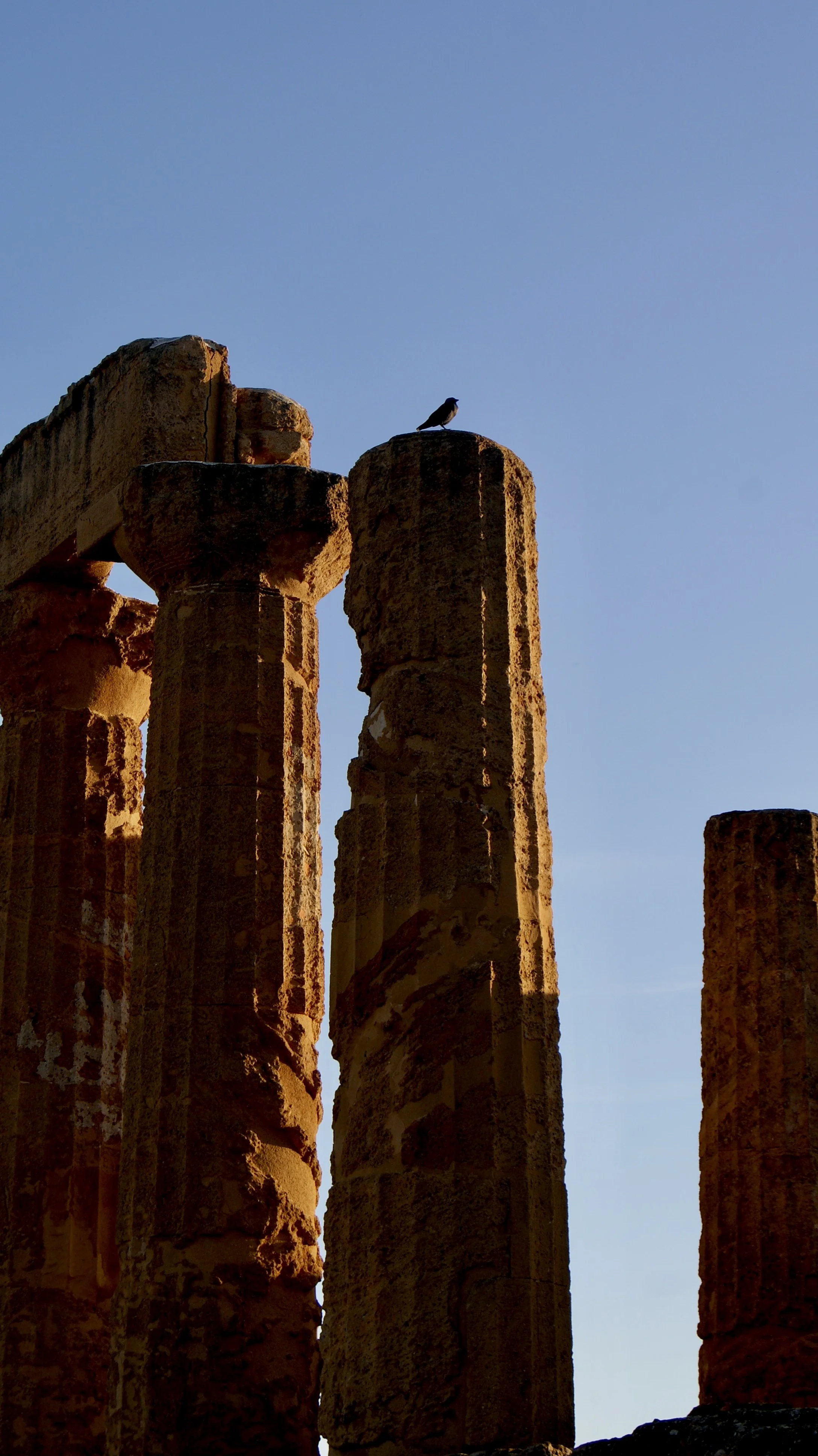 Ancient stone columns at a historic site with a bird perched on top against a clear blue sky.
