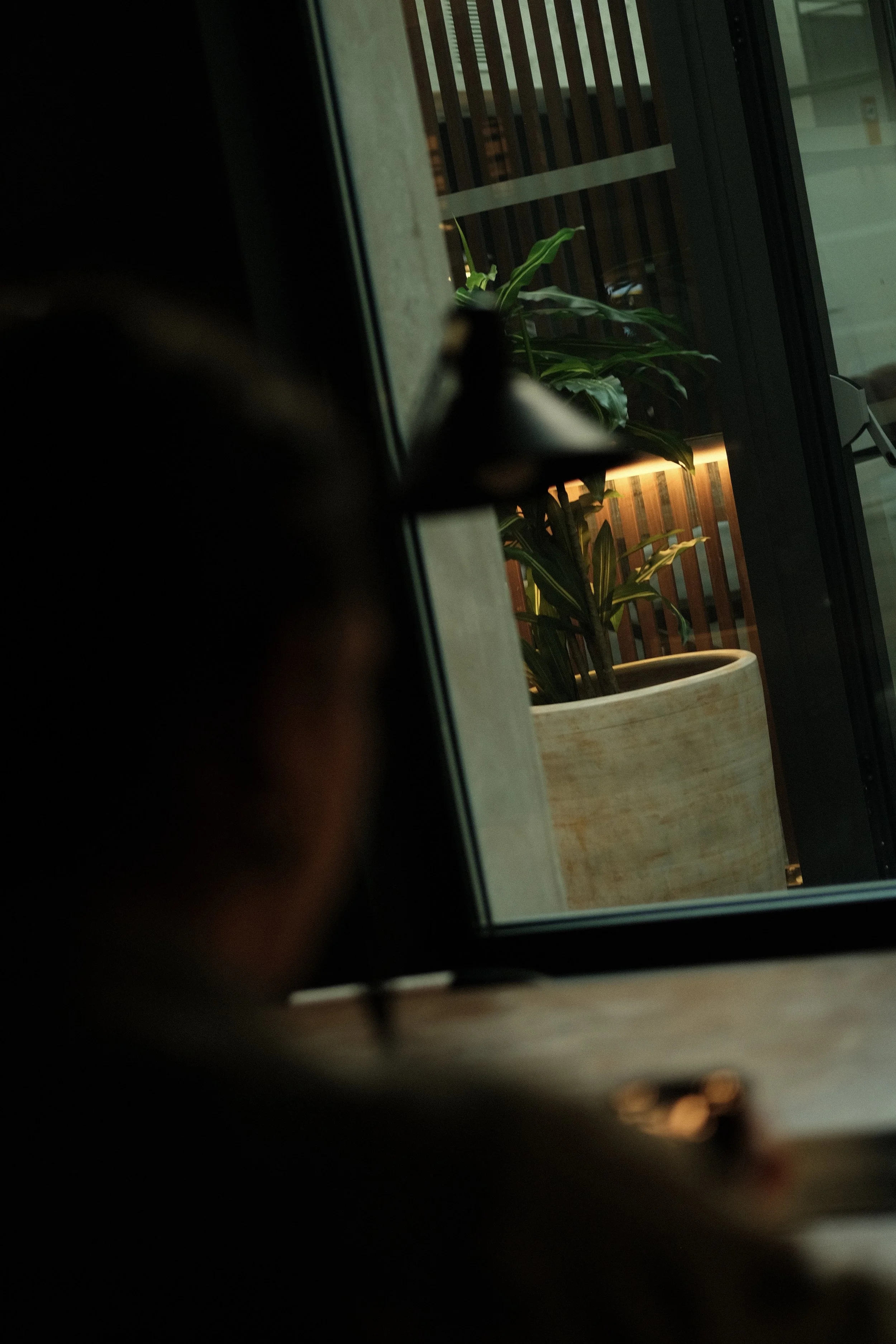 A potted plant outside through a glass window at a cafe or restaurant.