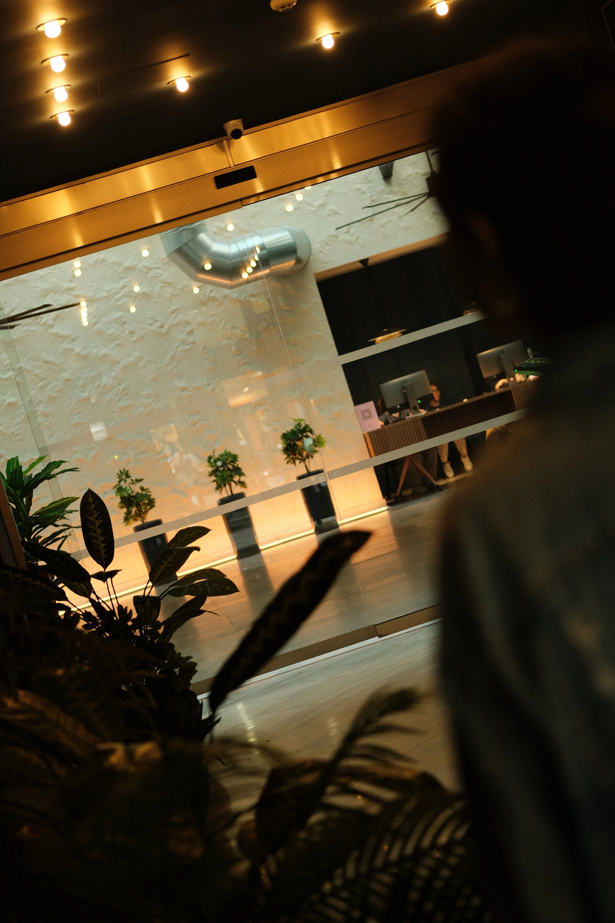 View of a modern lobby or reception area with potted plants, a textured wall, and a reception desk with two people working at computers, separated by a glass wall.