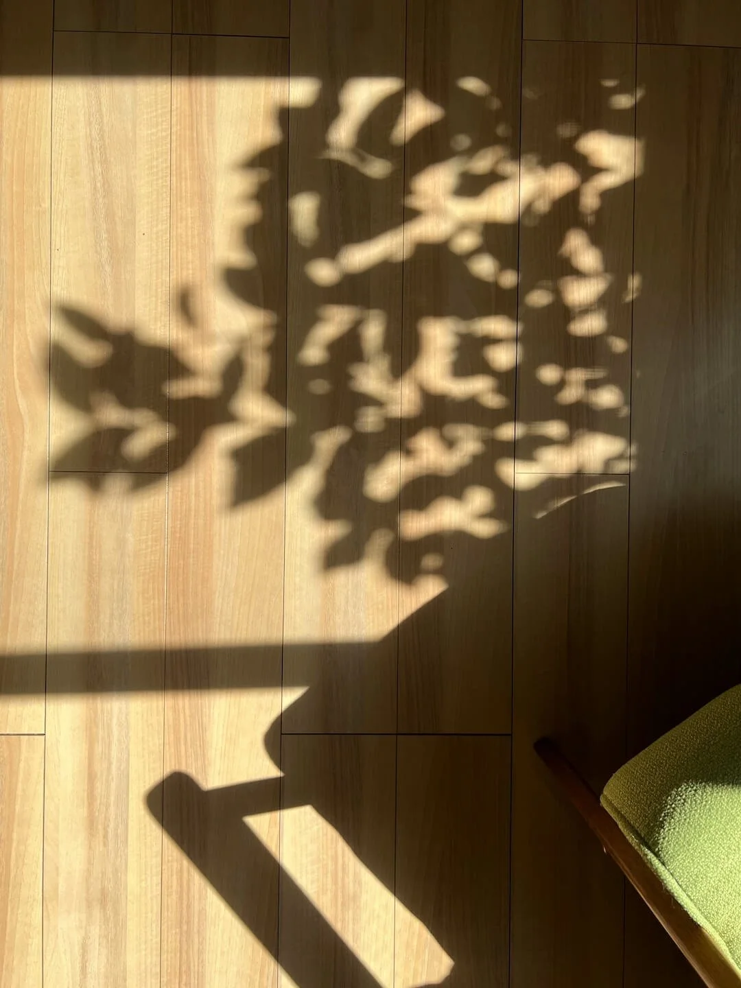 Vista cenital de la silla de oficina del despacho de psicologia leizea y su sombra proyectada