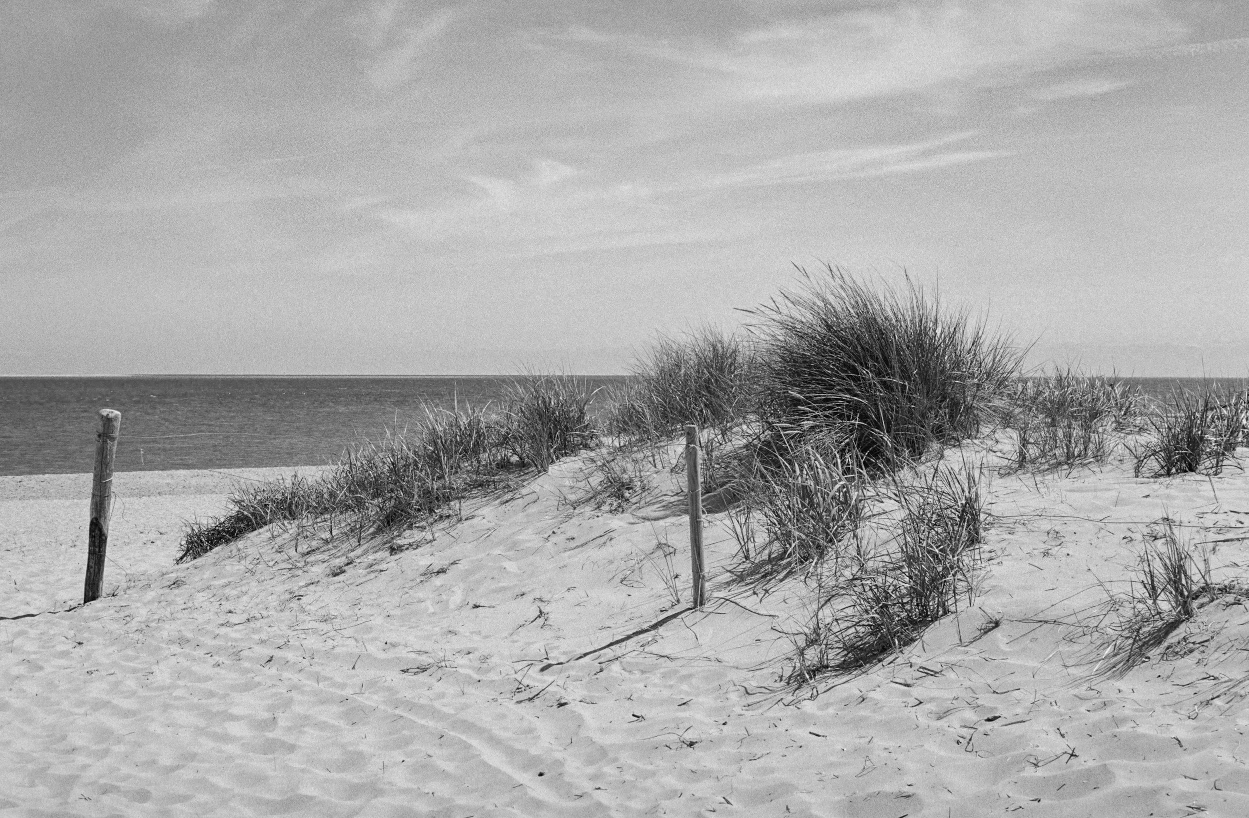 Strand met zandheuvels en gras, blauwe zee en een heldere lucht