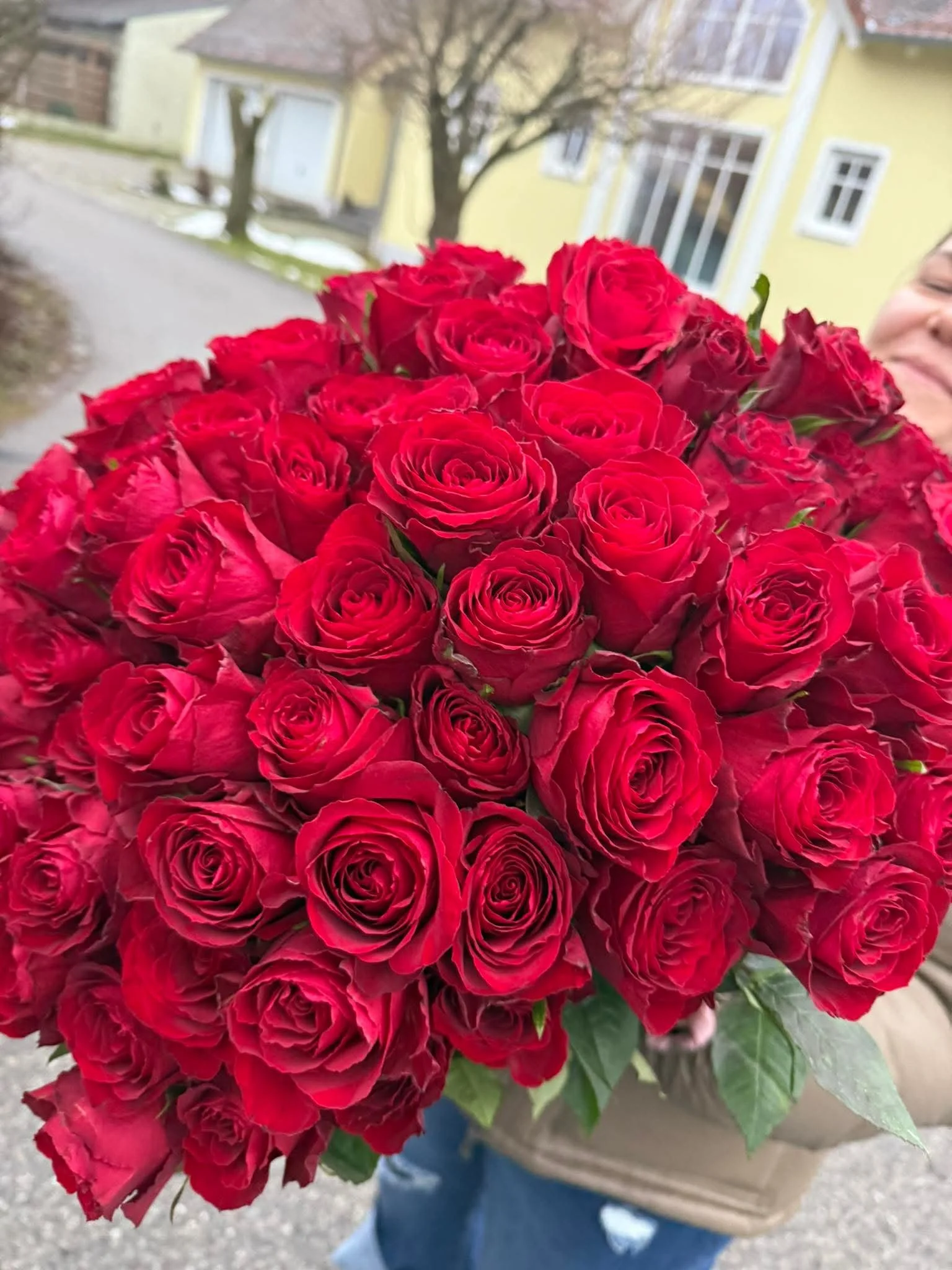 101 Trandafiri Naturali