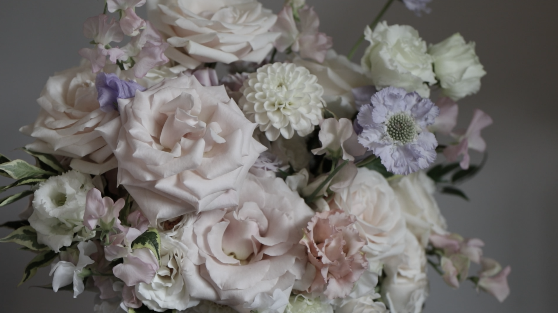 A close-up photo of a chic wedding bouquet of white and pale pink flowers with some touches of lavender, featuring roses, dahlias, lisianthus, and other blossoms, set against a plain background. Wedding videography by Natasha Gray Video. 
